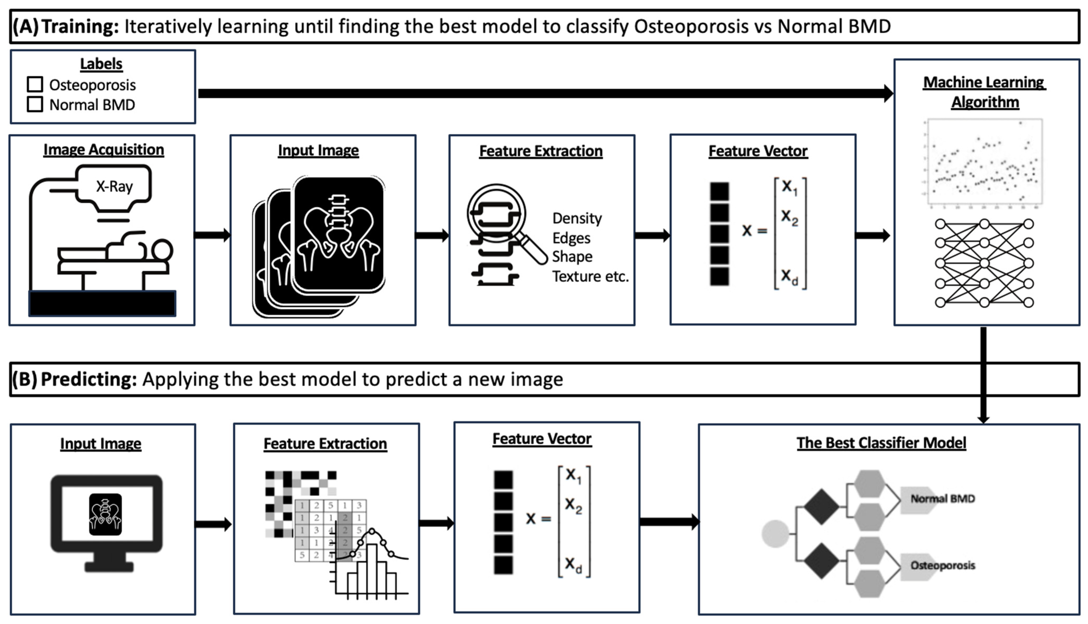 Bioengineering 11 00484 g002