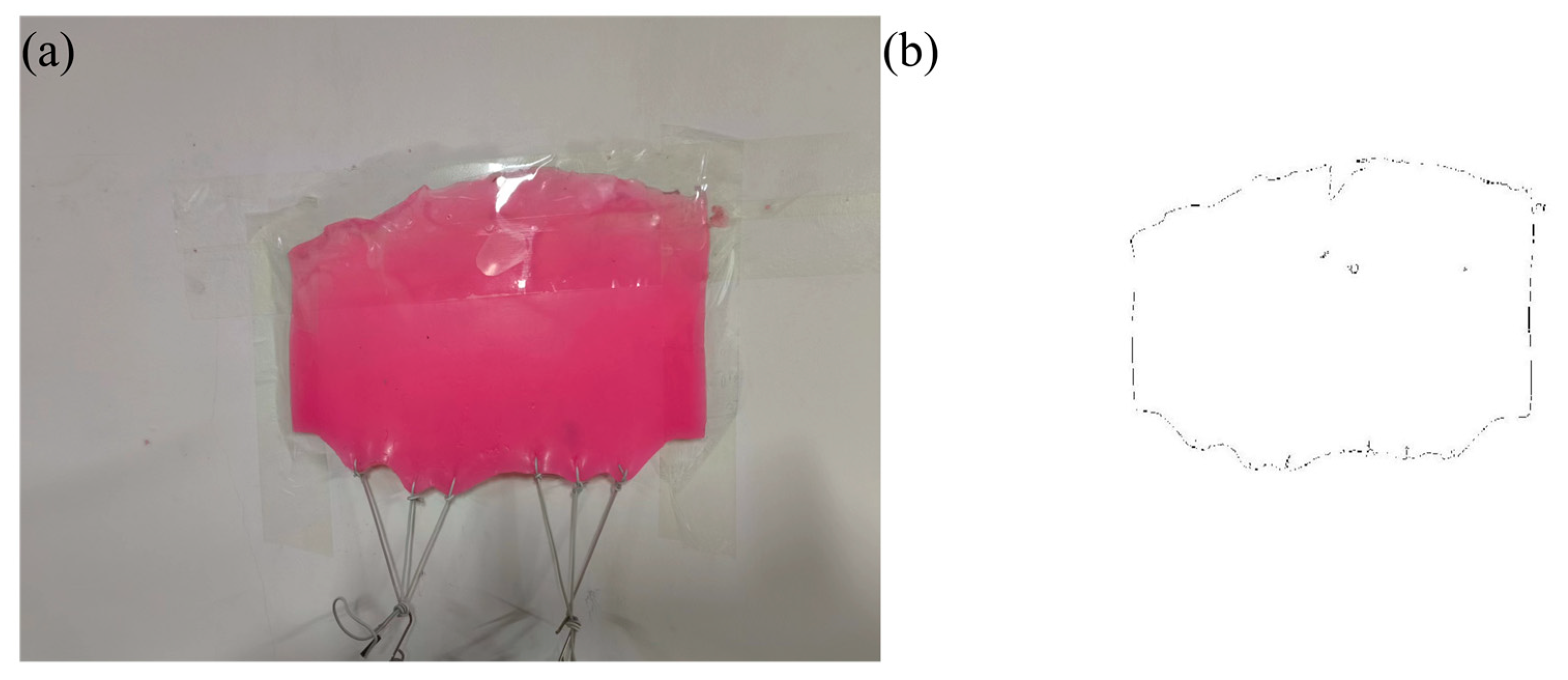 Bioengineering 11 00485 g004