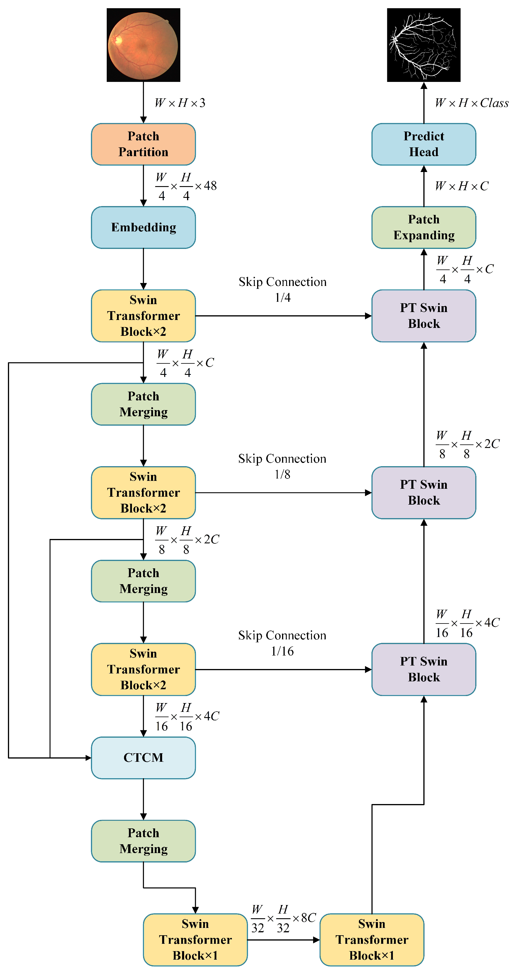 Bioengineering 11 00488 g001