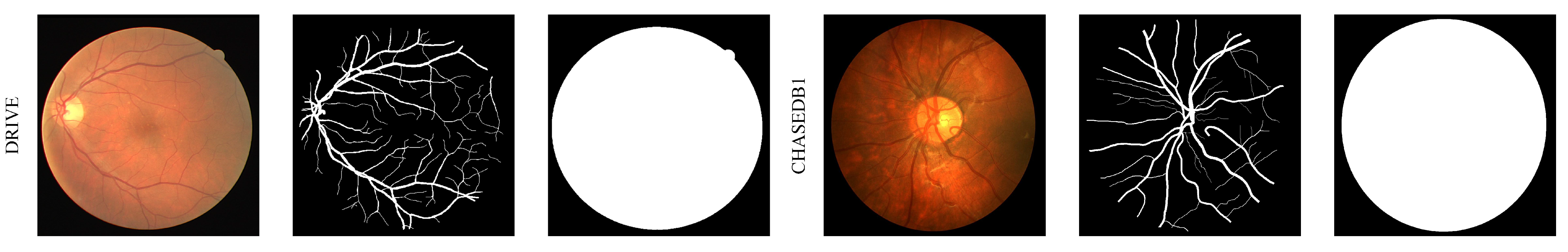 Bioengineering 11 00488 g005