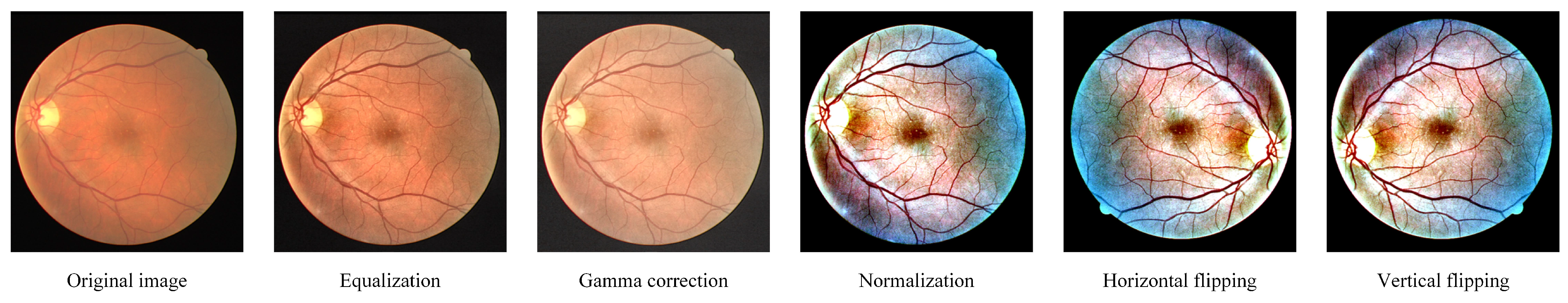 Bioengineering 11 00488 g006
