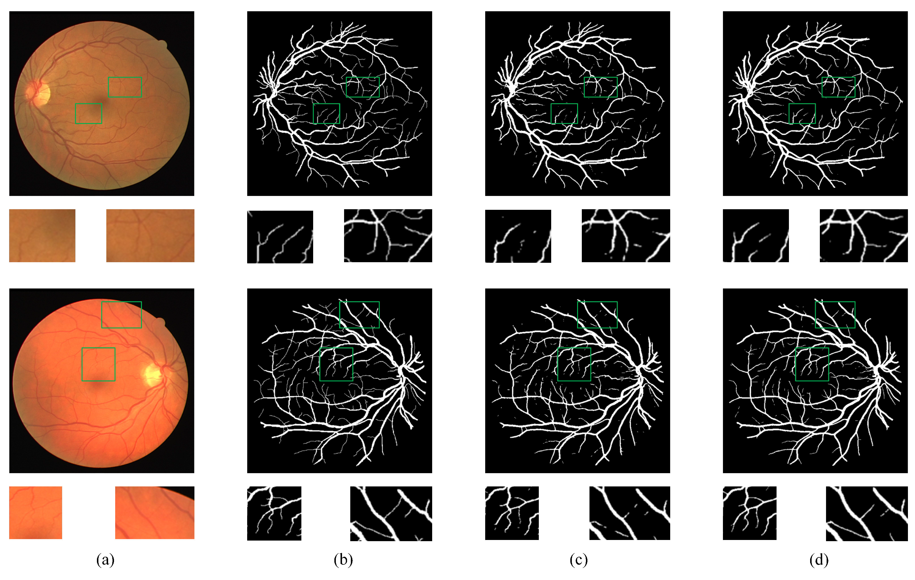 Bioengineering 11 00488 g007
