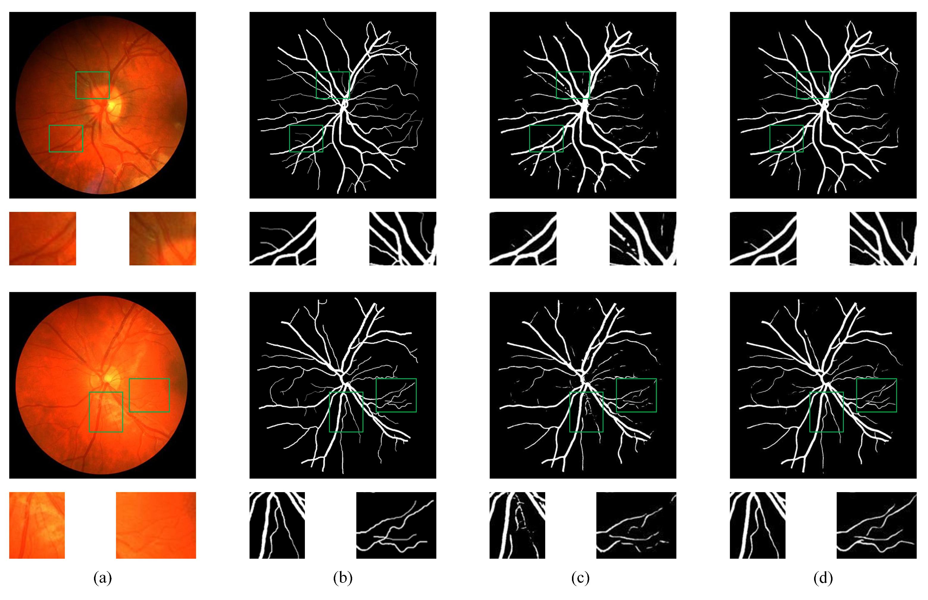 Bioengineering 11 00488 g008