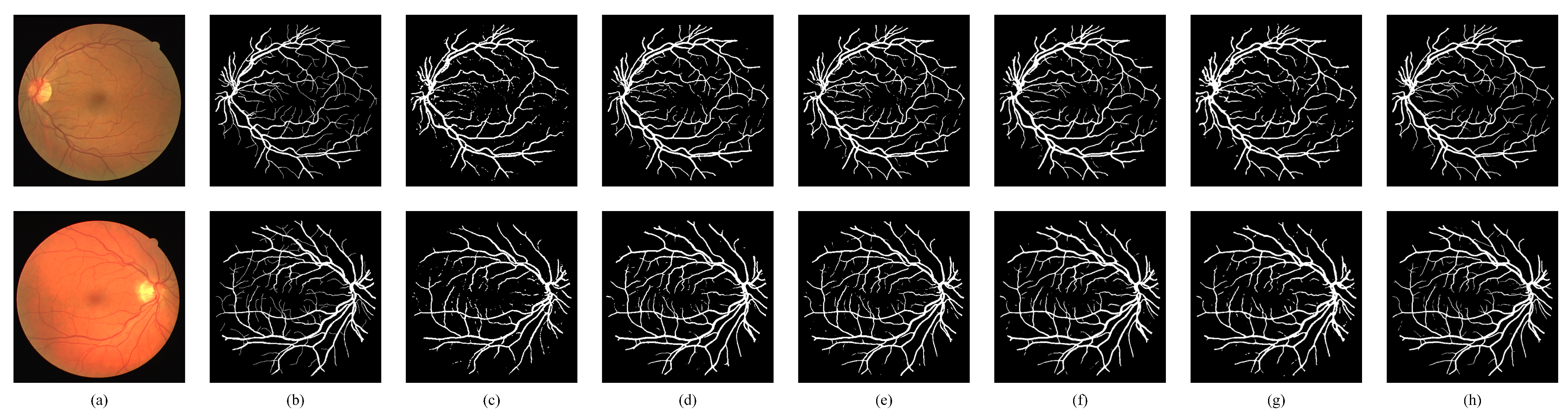 Bioengineering 11 00488 g009