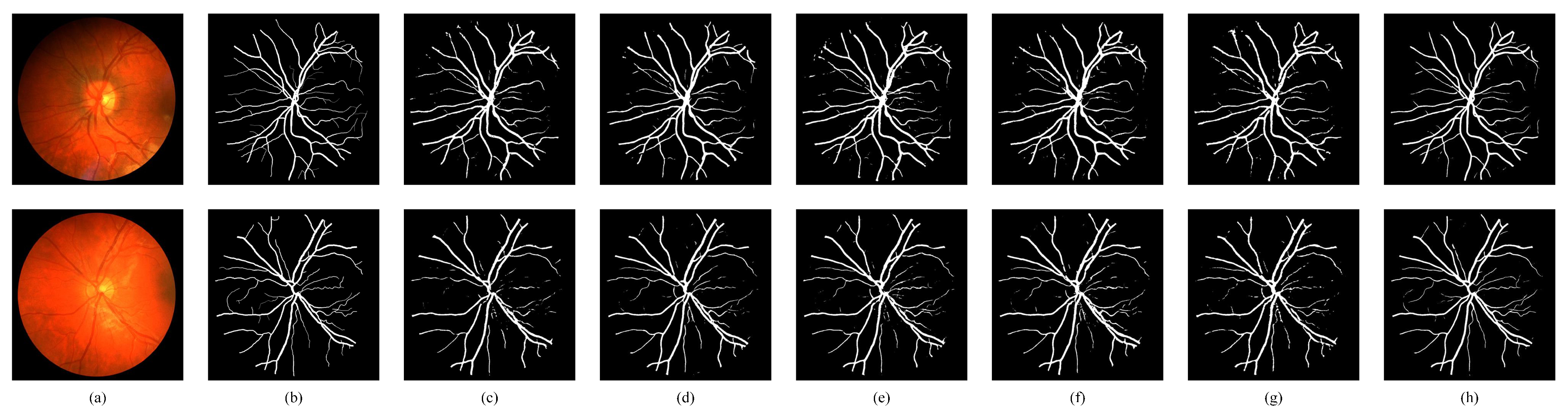 Bioengineering 11 00488 g010