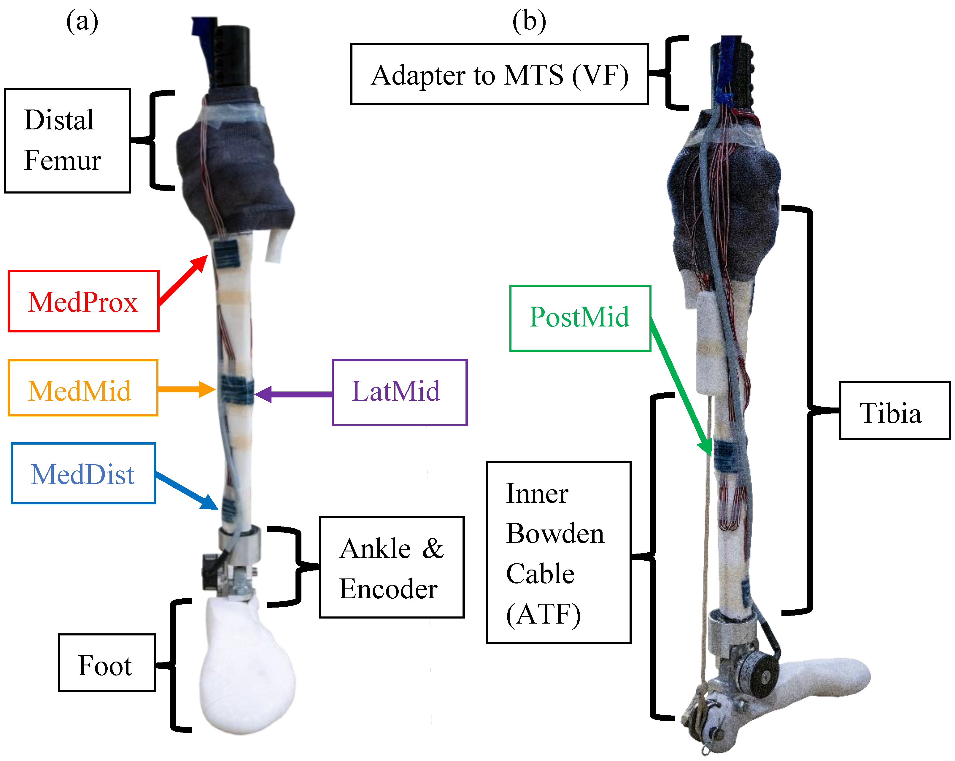 Bioengineering 11 00490 g002