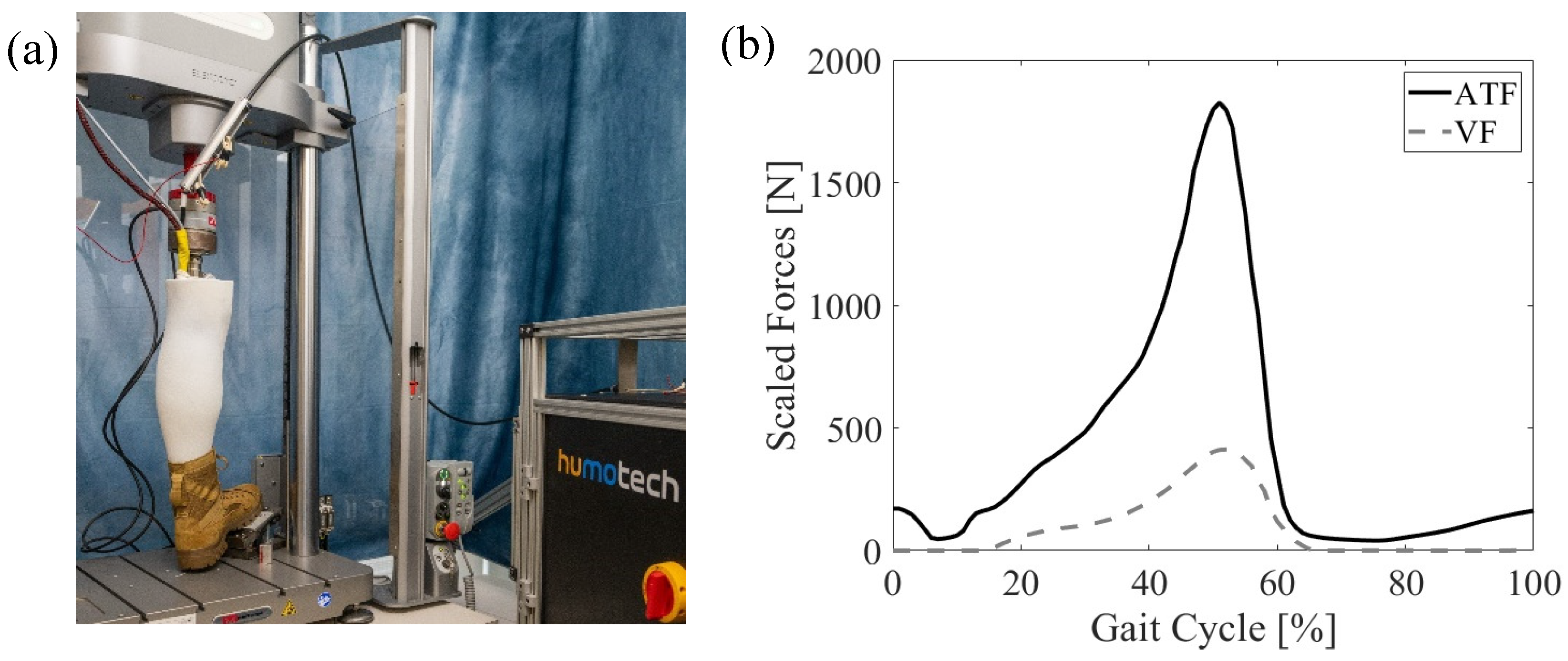 Bioengineering 11 00490 g004