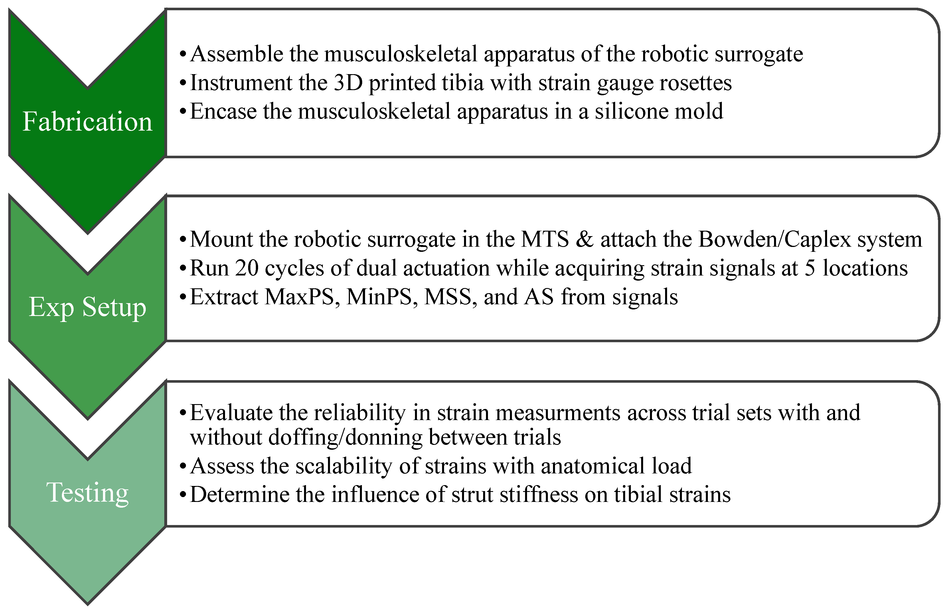 Bioengineering 11 00490 g005