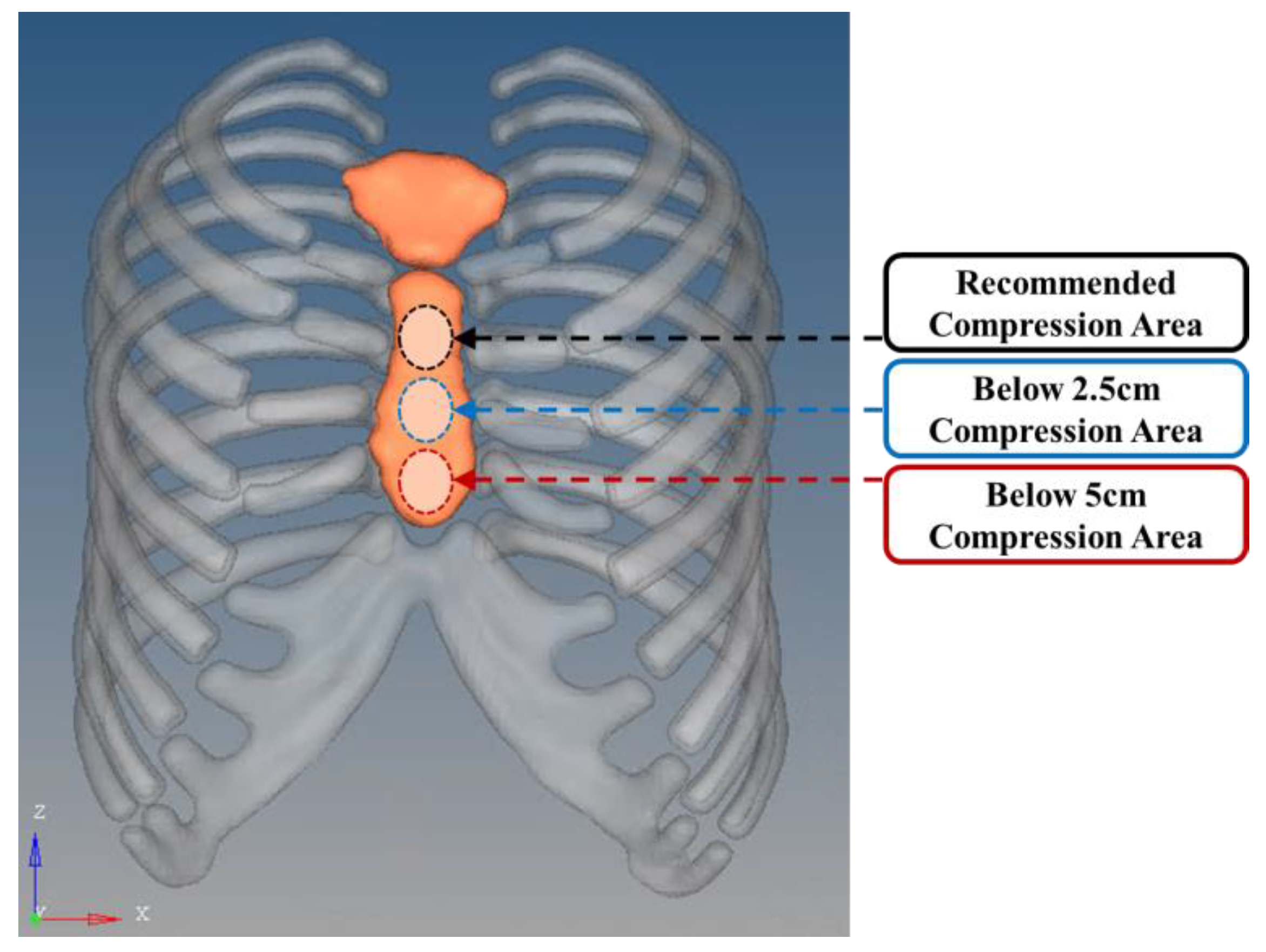 Bioengineering 11 00491 g004