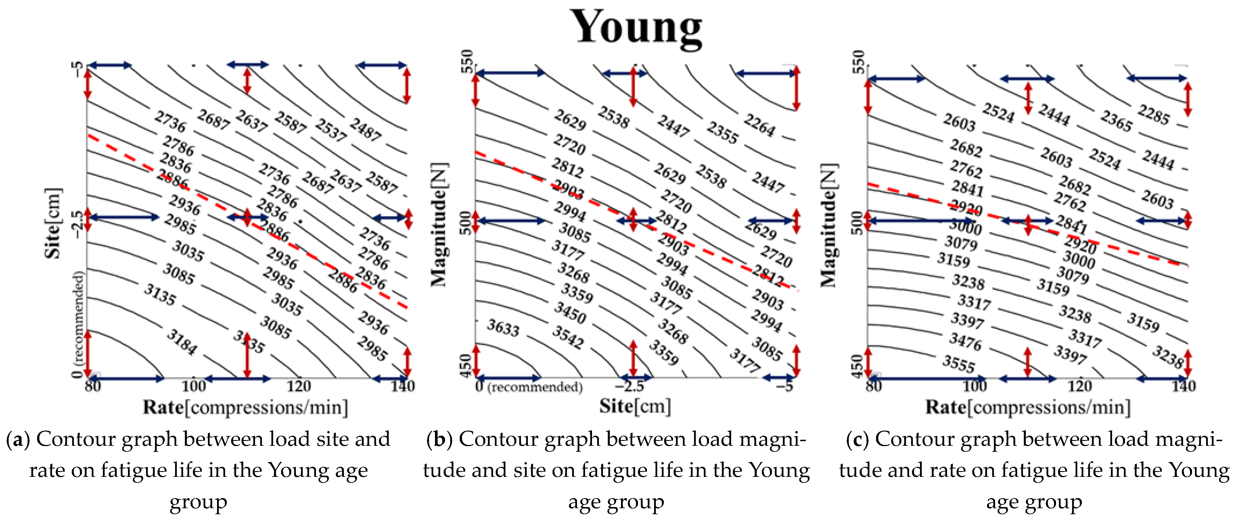 Bioengineering 11 00491 g007a