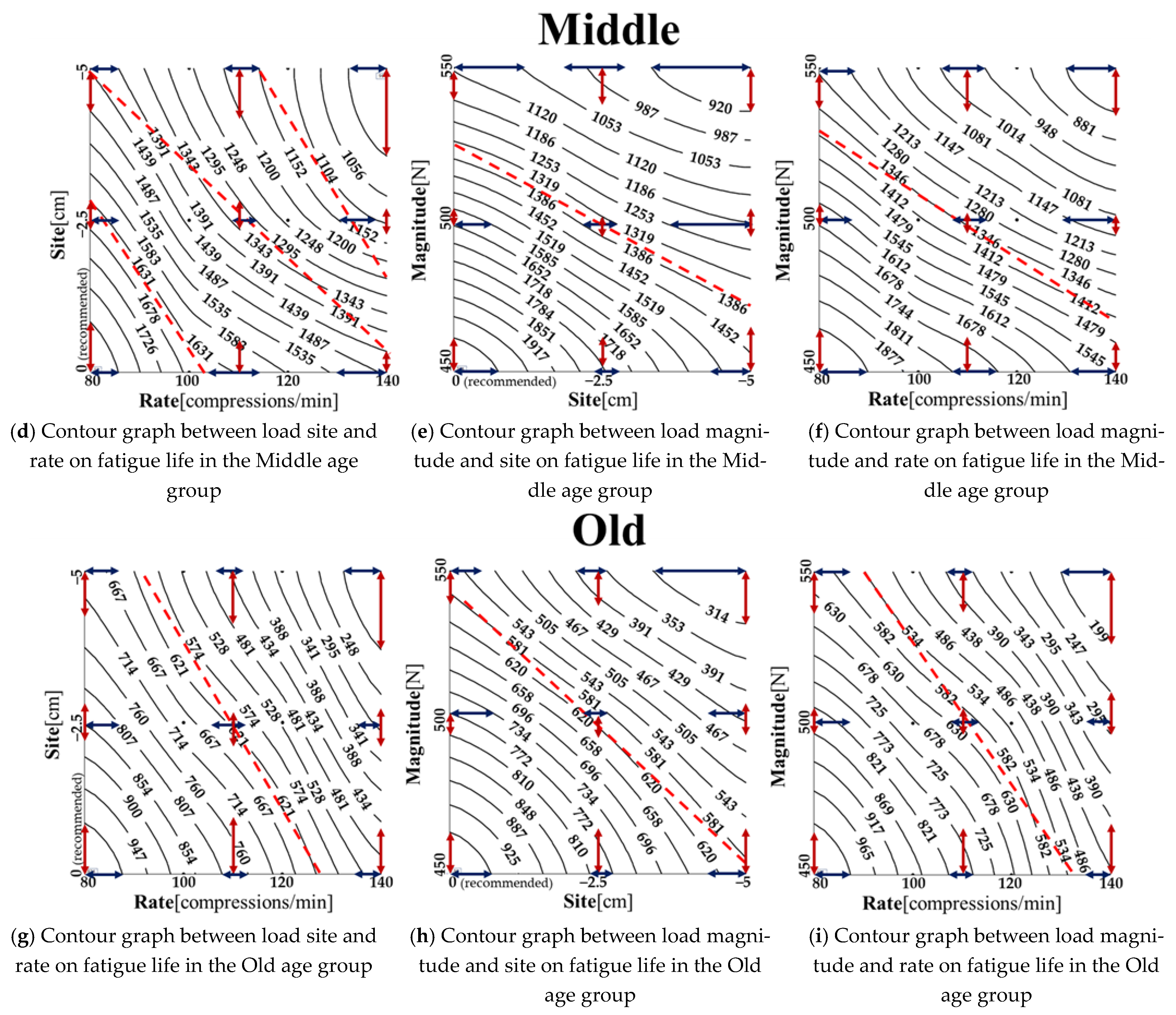Bioengineering 11 00491 g007b