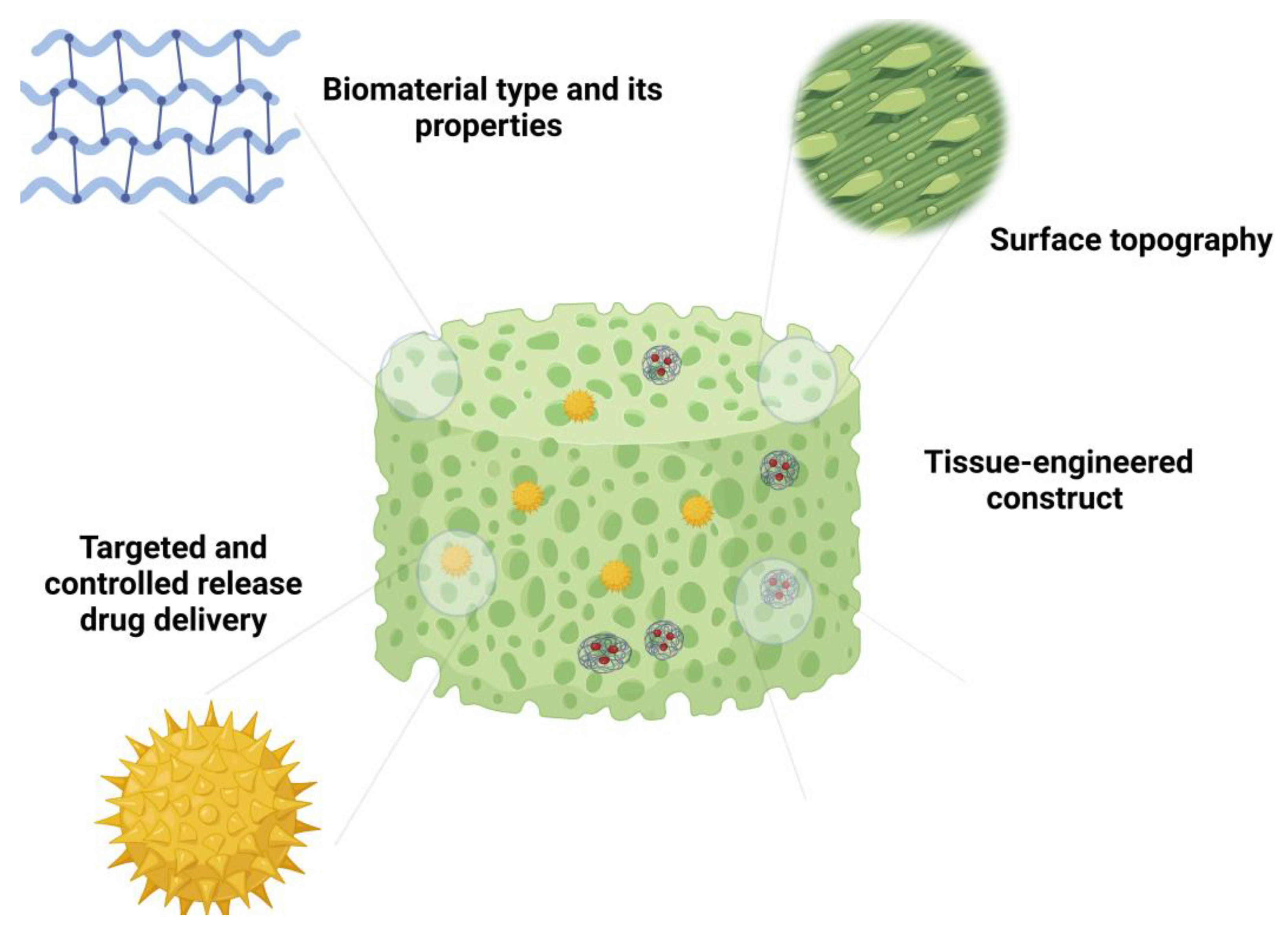 Bioengineering 11 00494 g002