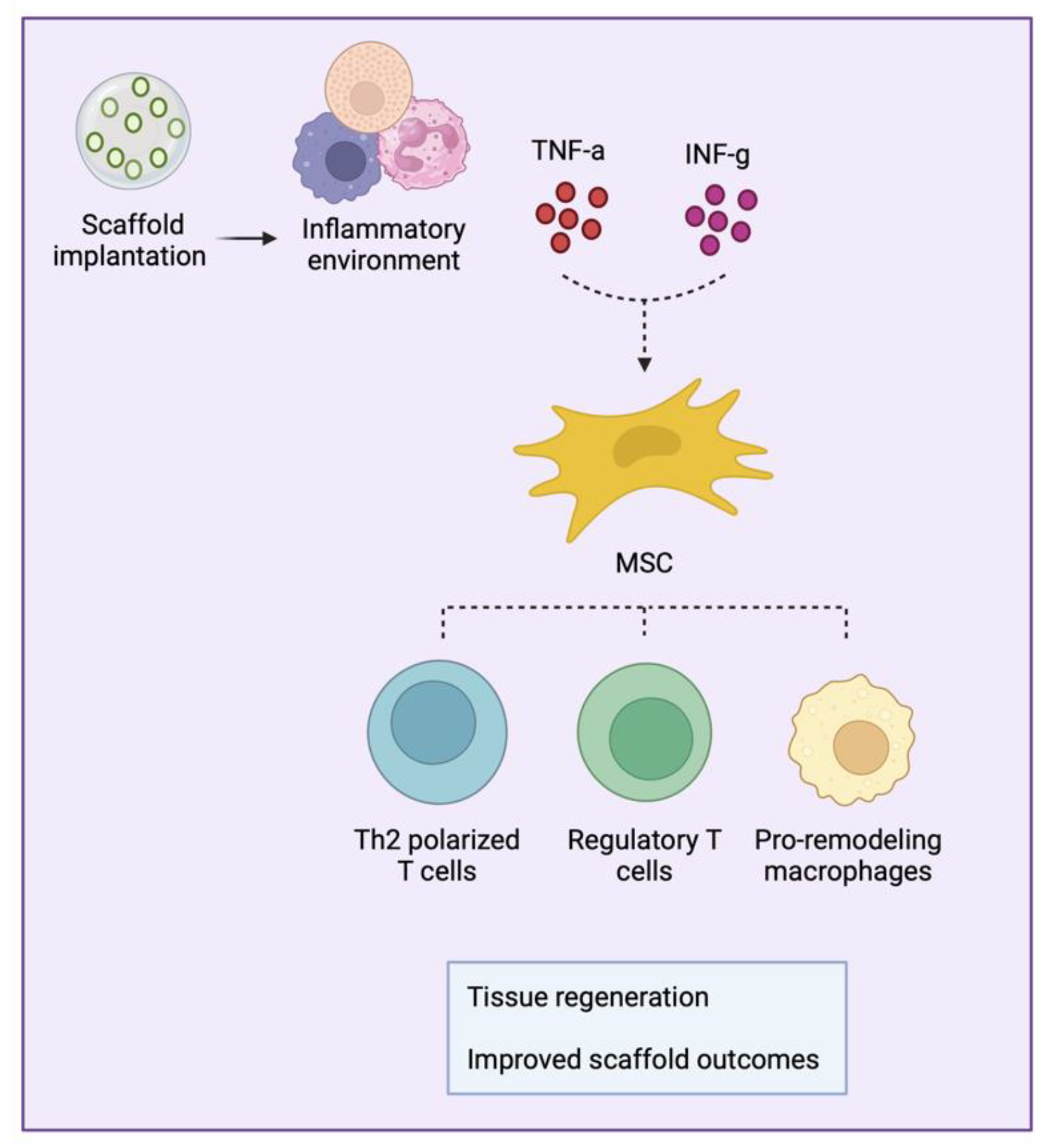 Bioengineering 11 00494 g003
