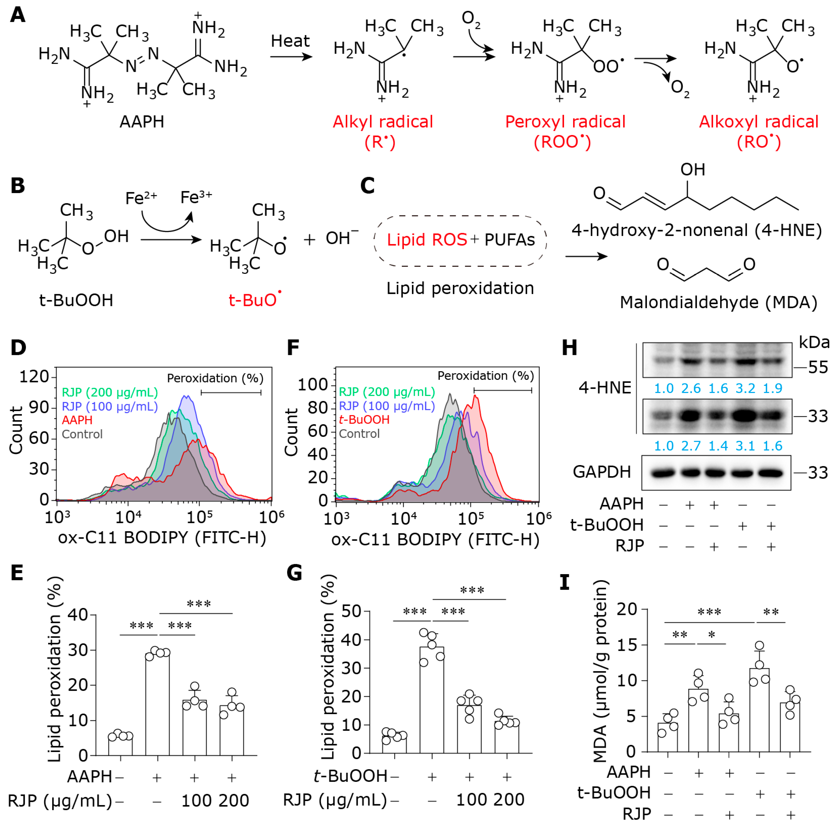 Bioengineering 11 00496 g002