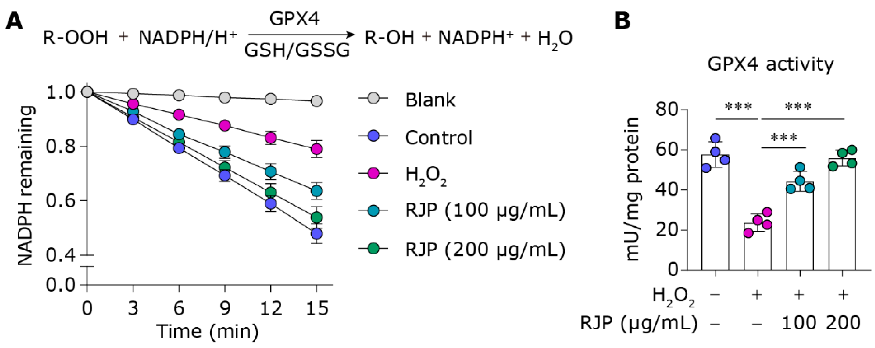 Bioengineering 11 00496 g004