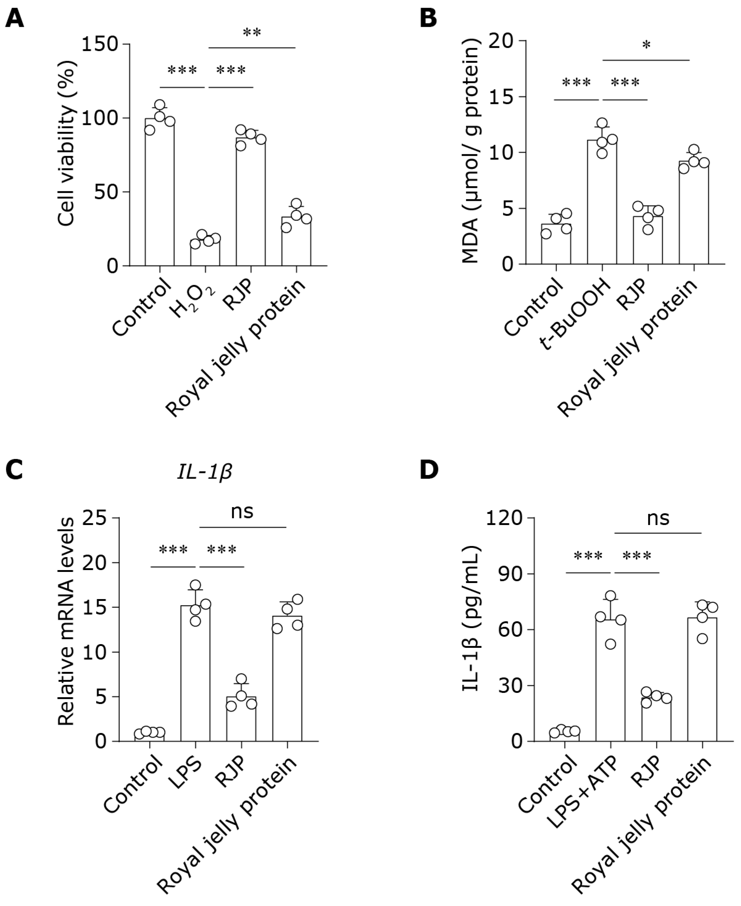 Bioengineering 11 00496 g008