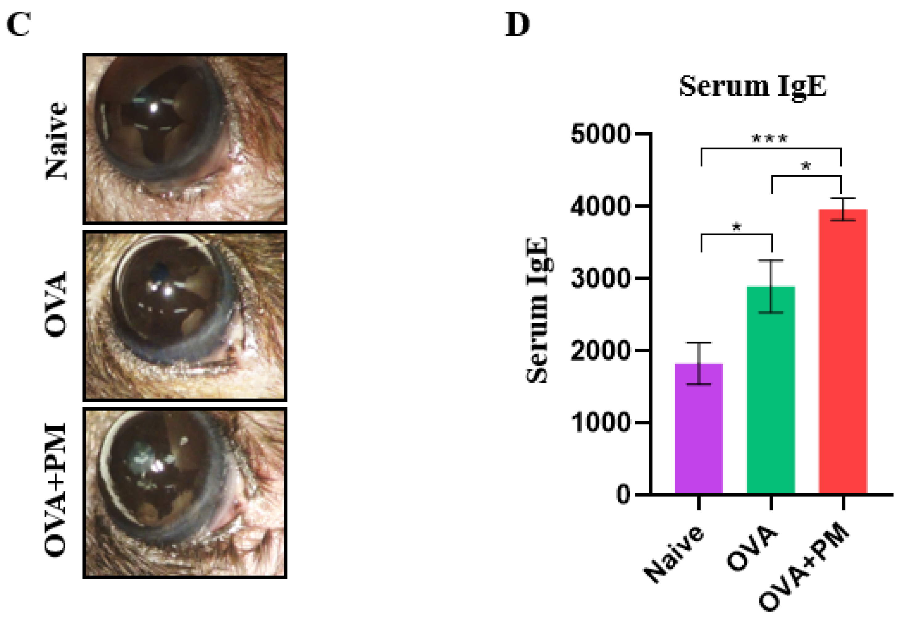 Bioengineering 11 00498 g001b