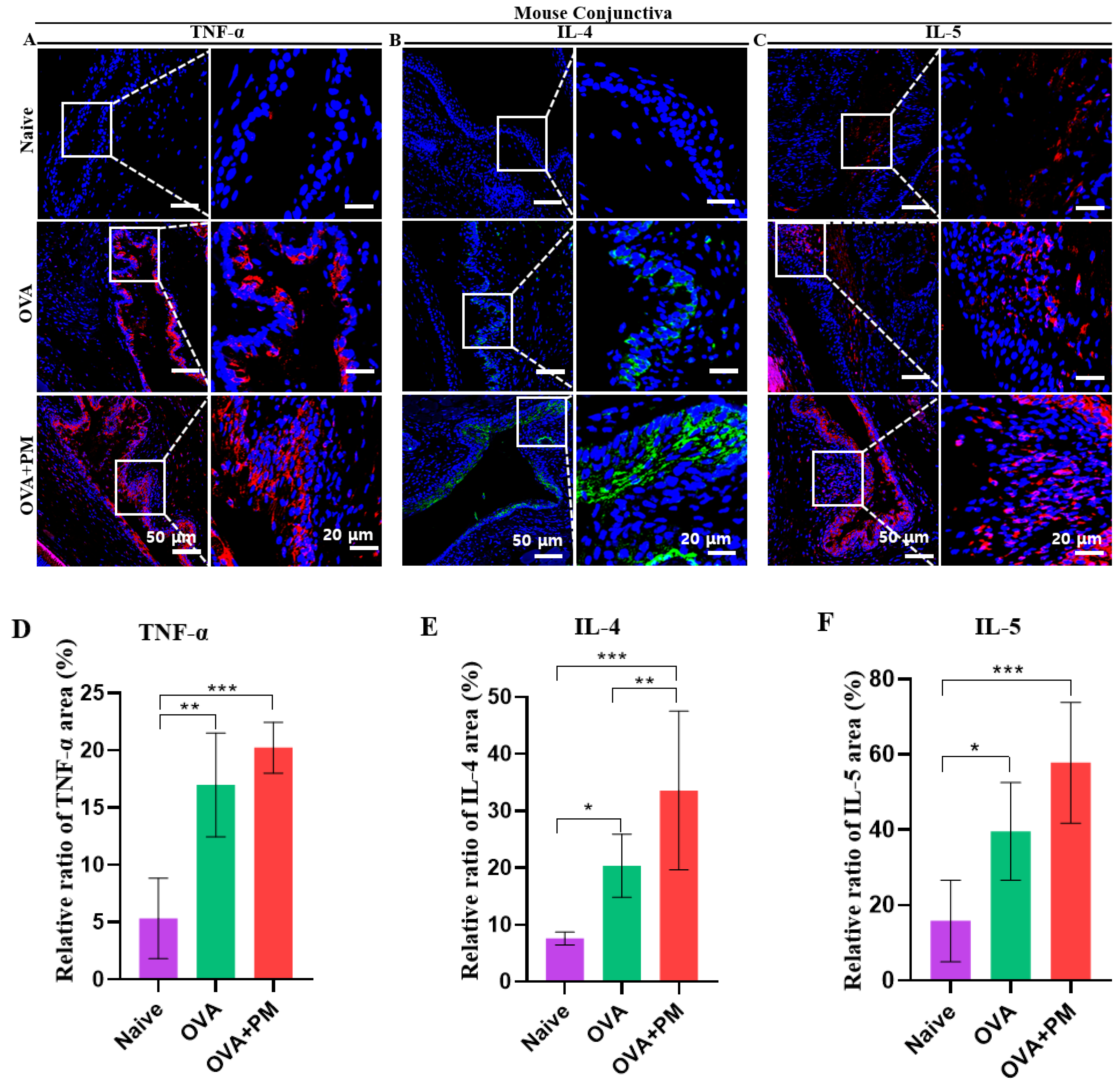 Bioengineering 11 00498 g004
