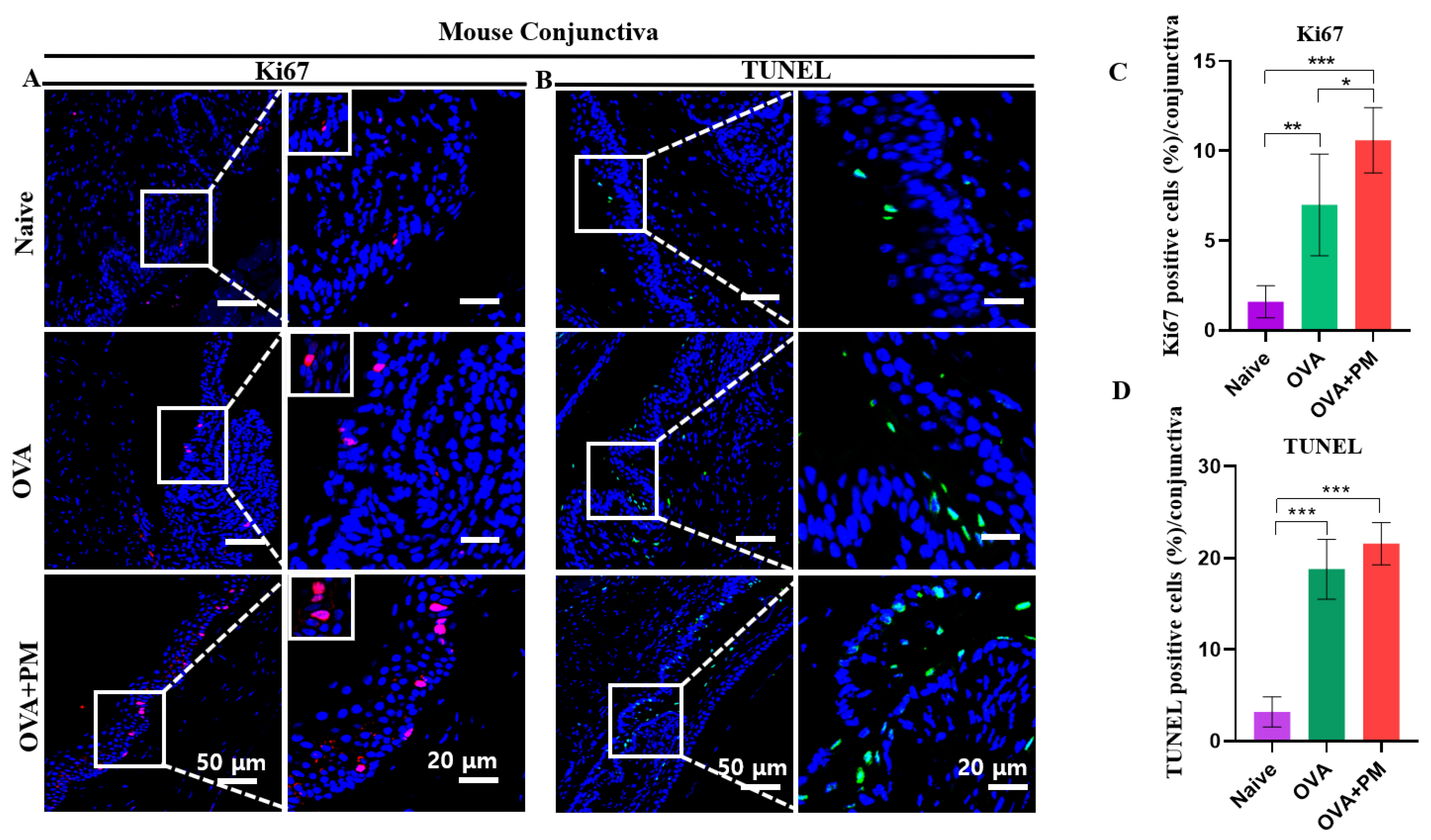 Bioengineering 11 00498 g005a
