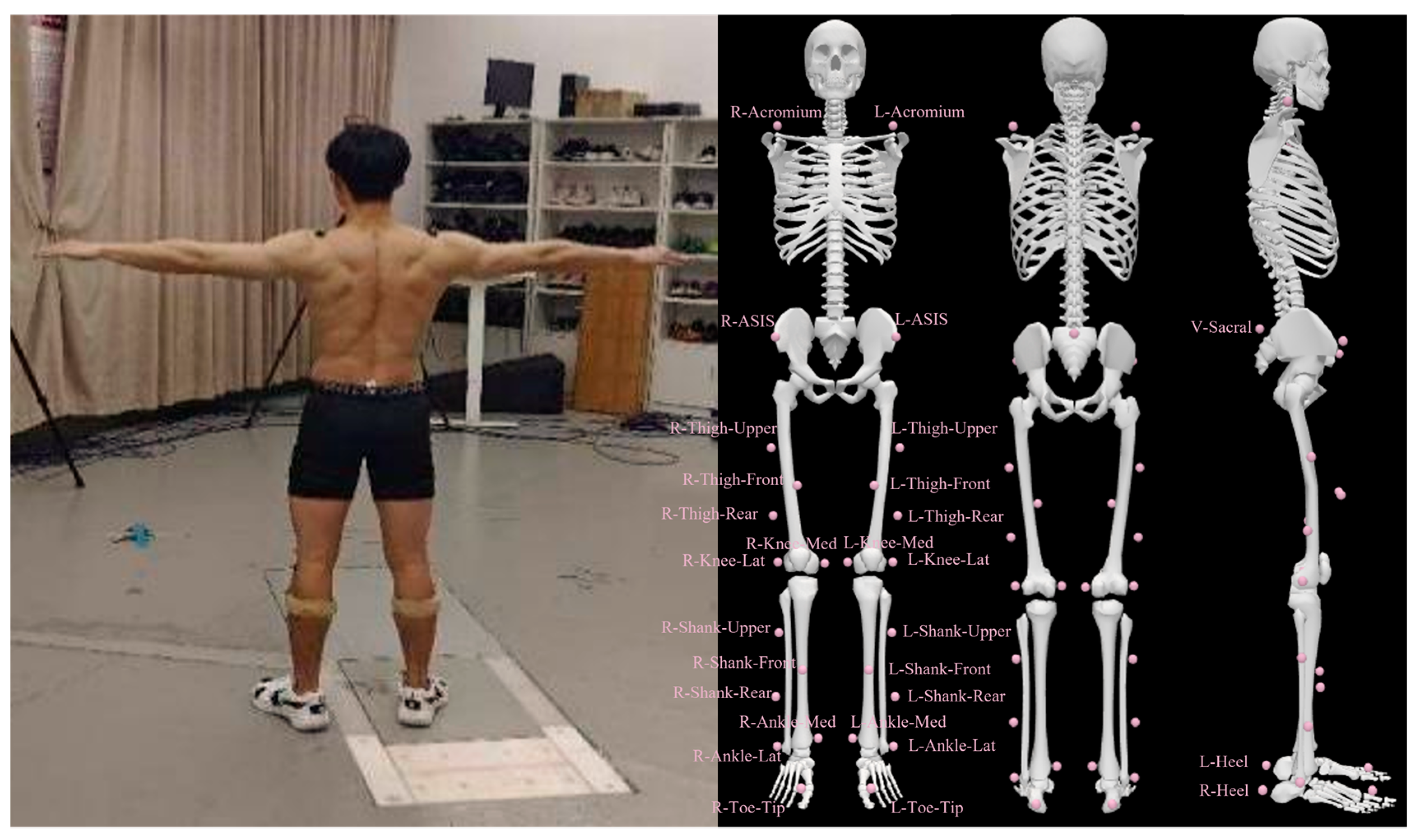 Bioengineering 11 00501 g002