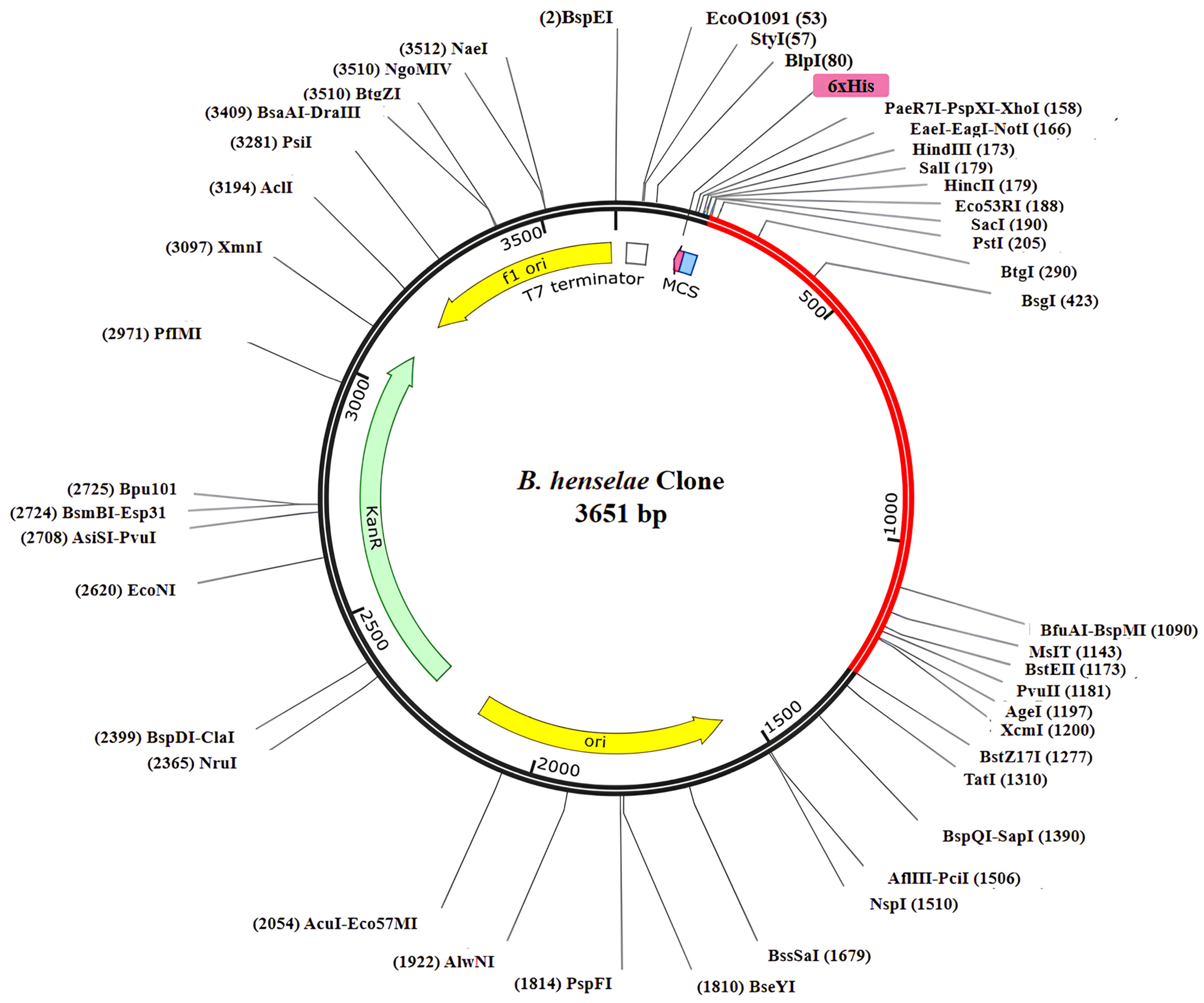 Bioengineering 11 00505 g008 Bioengineering 11 00505 g008