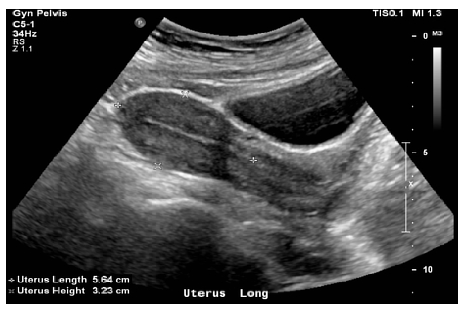 Bioengineering 11 00506 g003