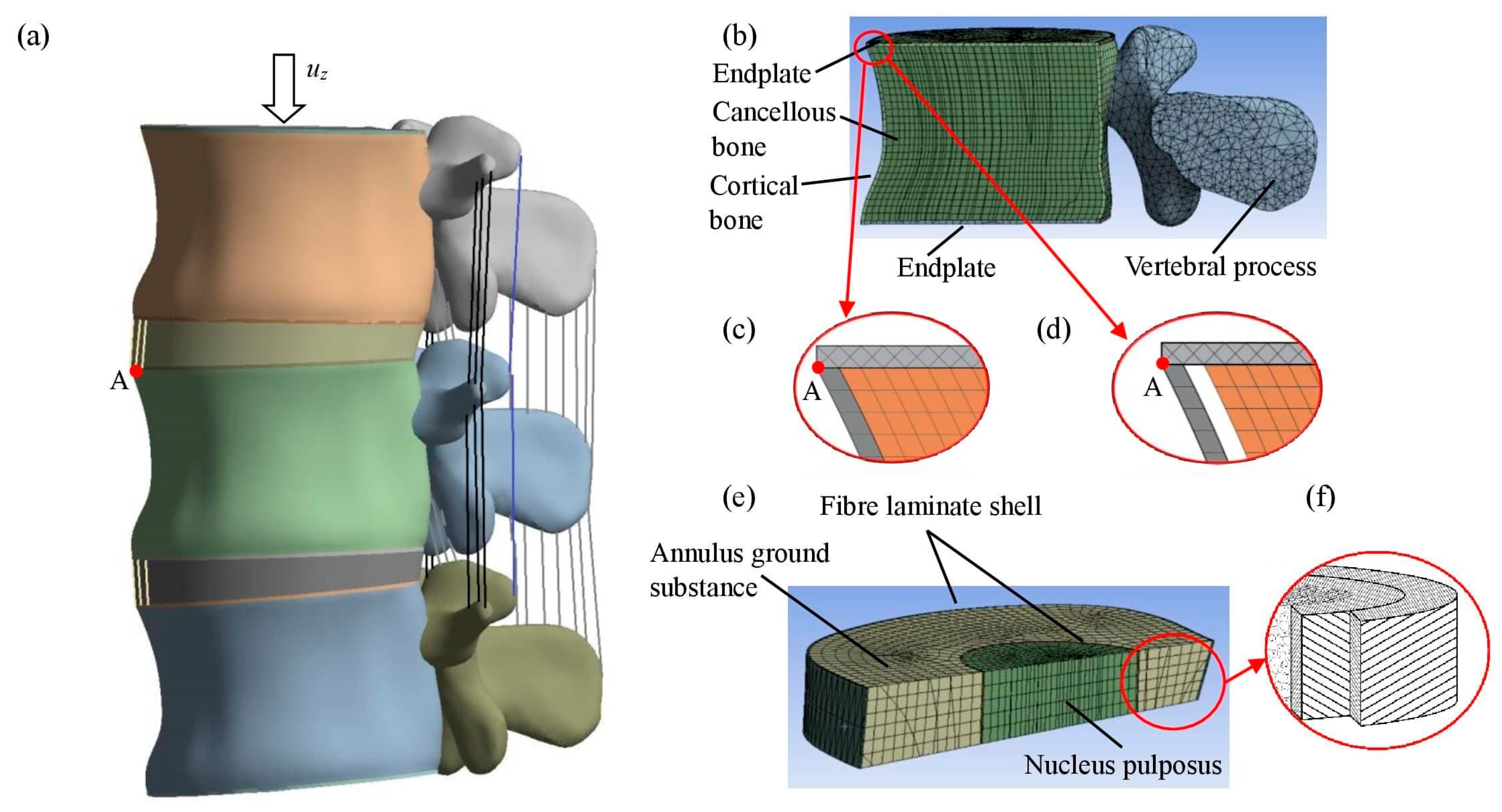 Bioengineering 11 00507 g001