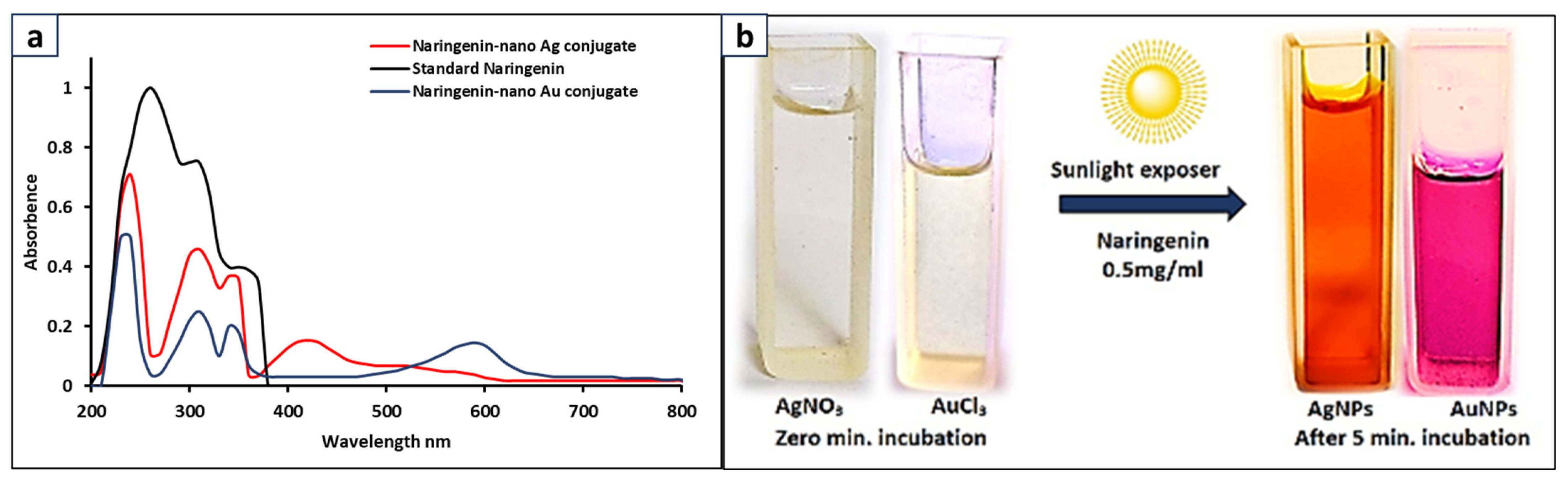 Bioengineering 11 00510 g005