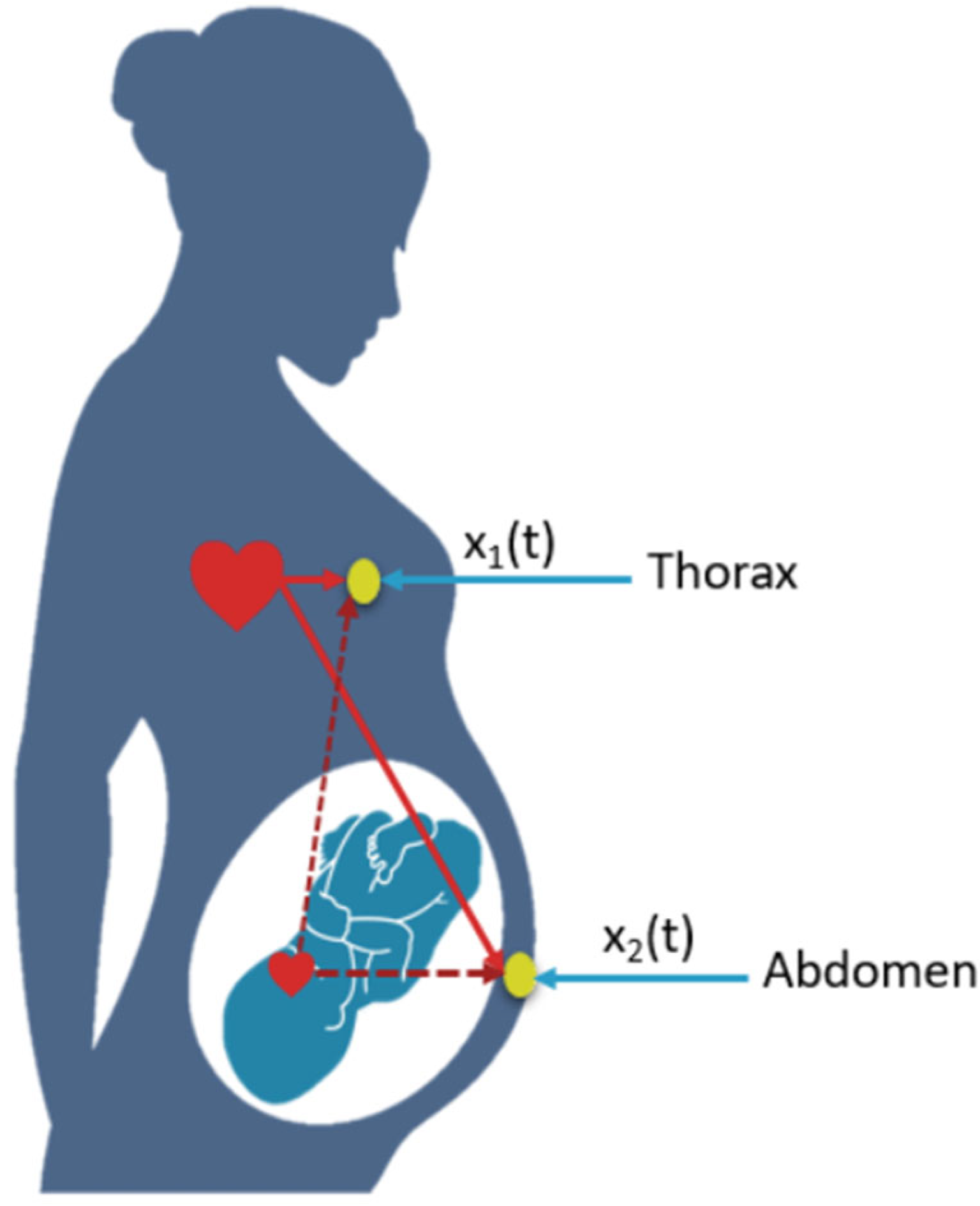 Bioengineering 11 00512 g002