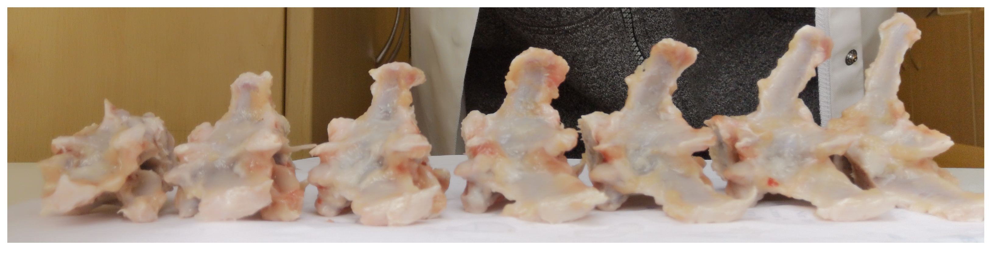 Bioengineering 11 00516 g001