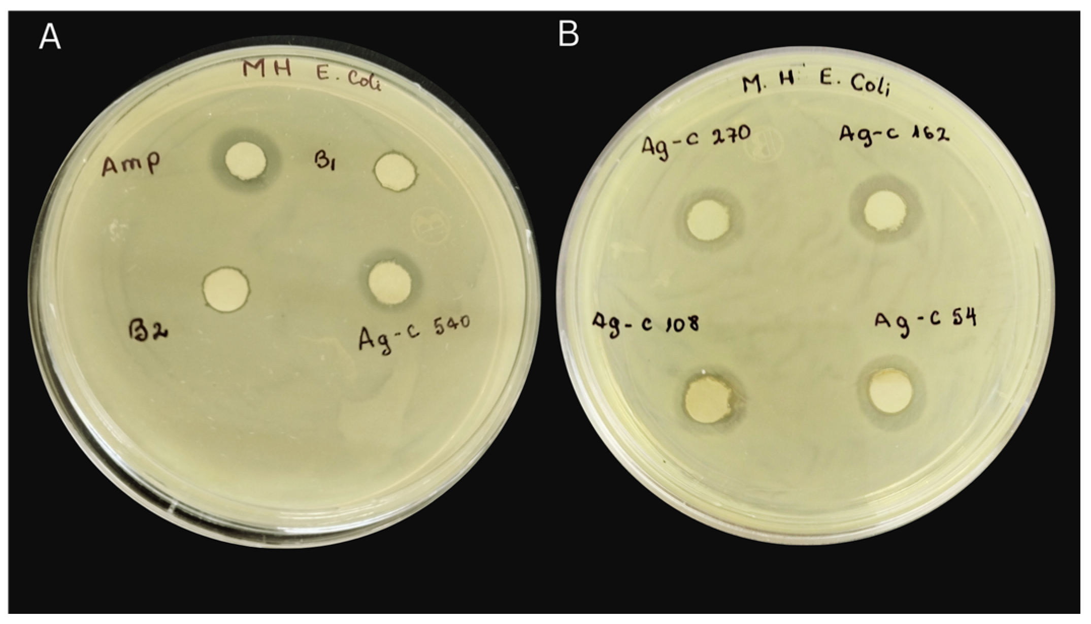 Bioengineering 11 00517 g007 Bioengineering 11 00517 g007