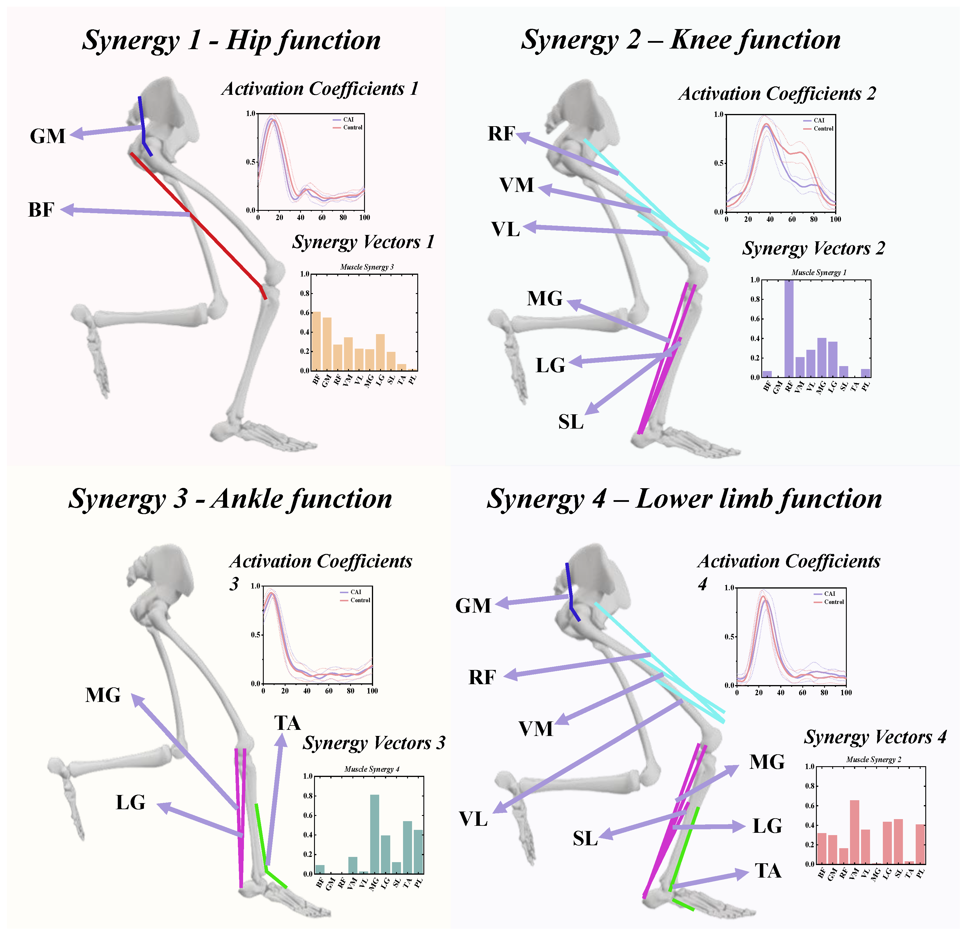 Bioengineering 11 00518 g011