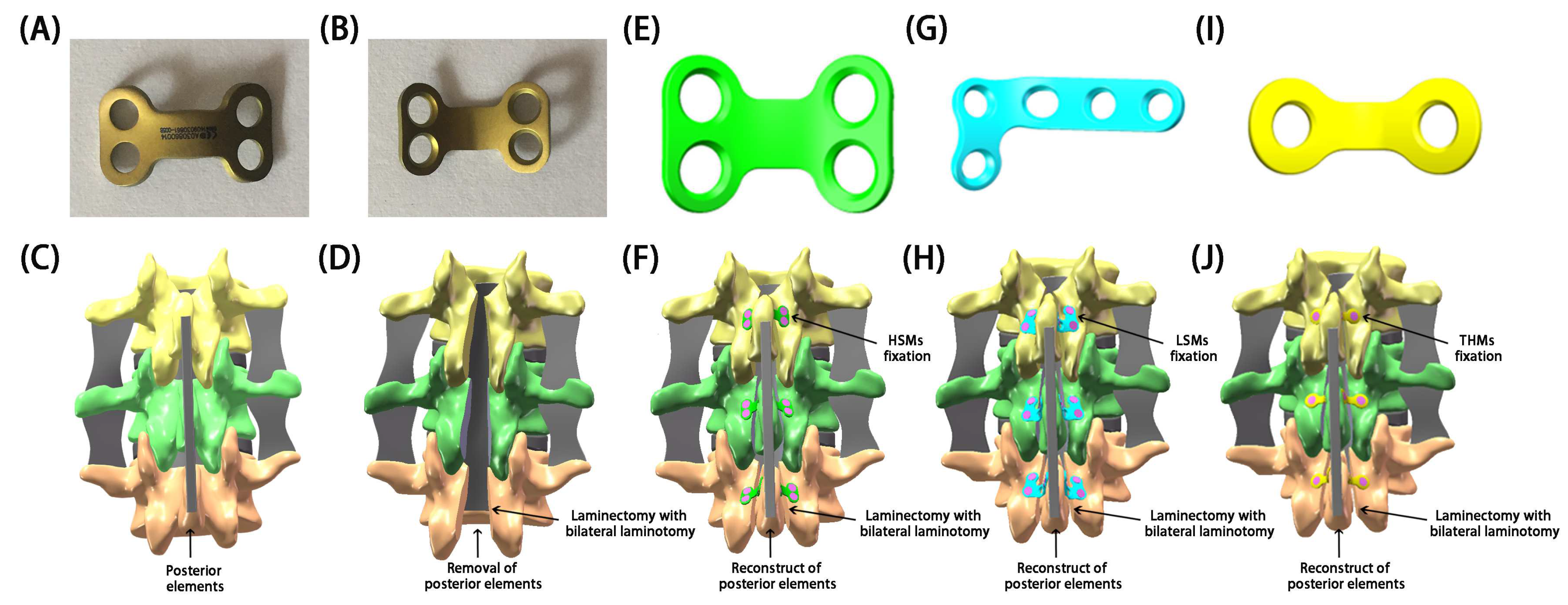Bioengineering 11 00519 g003