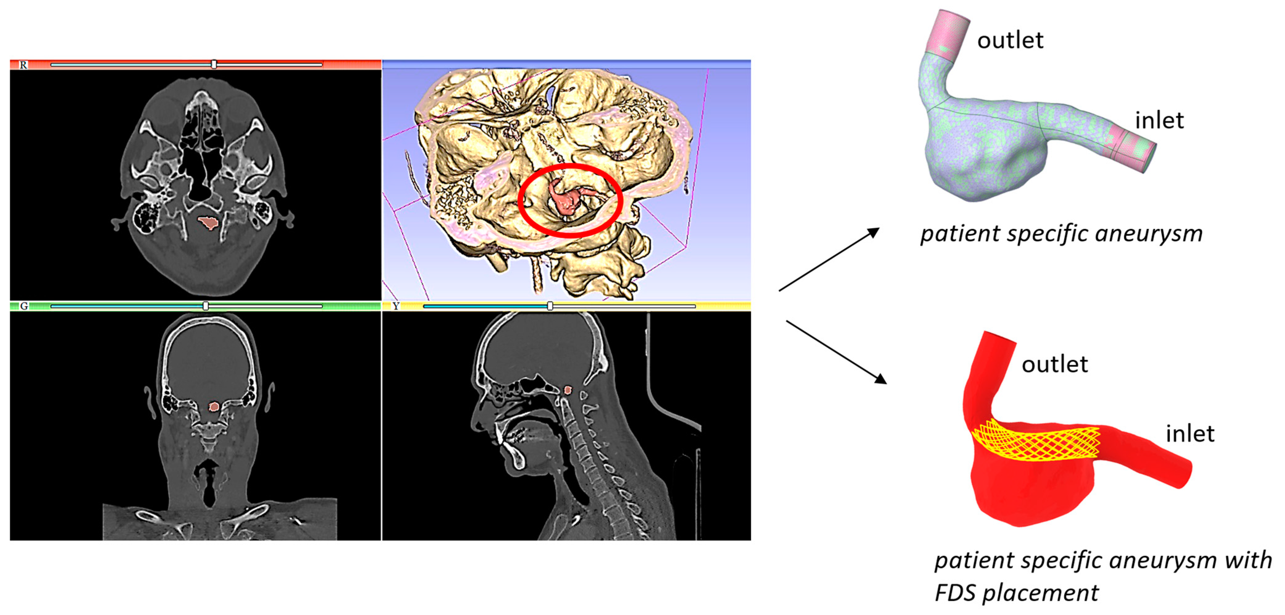 Bioengineering 11 00522 g001