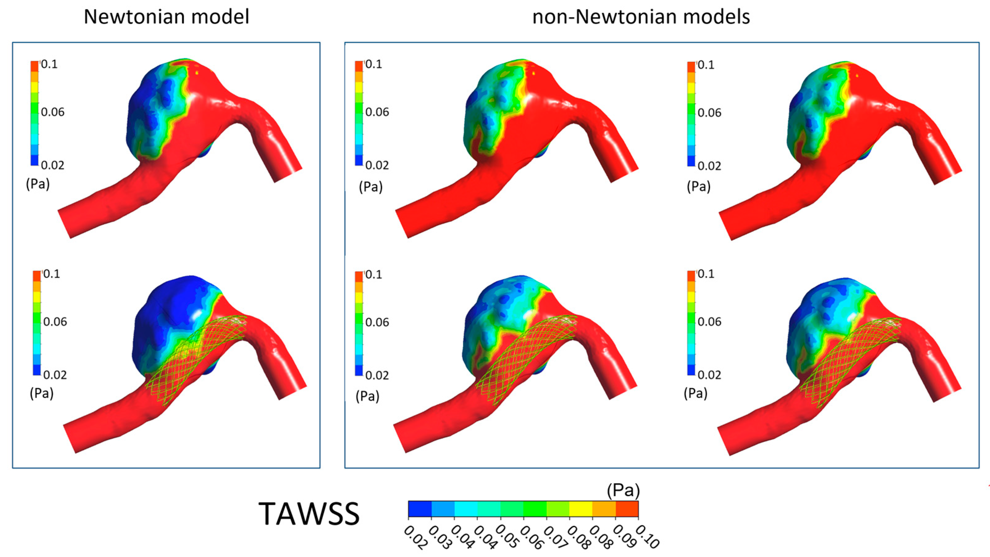 Bioengineering 11 00522 g006
