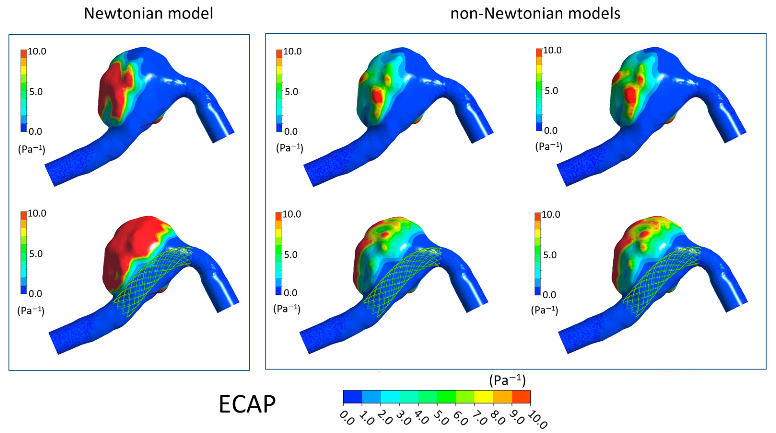 Bioengineering 11 00522 g008