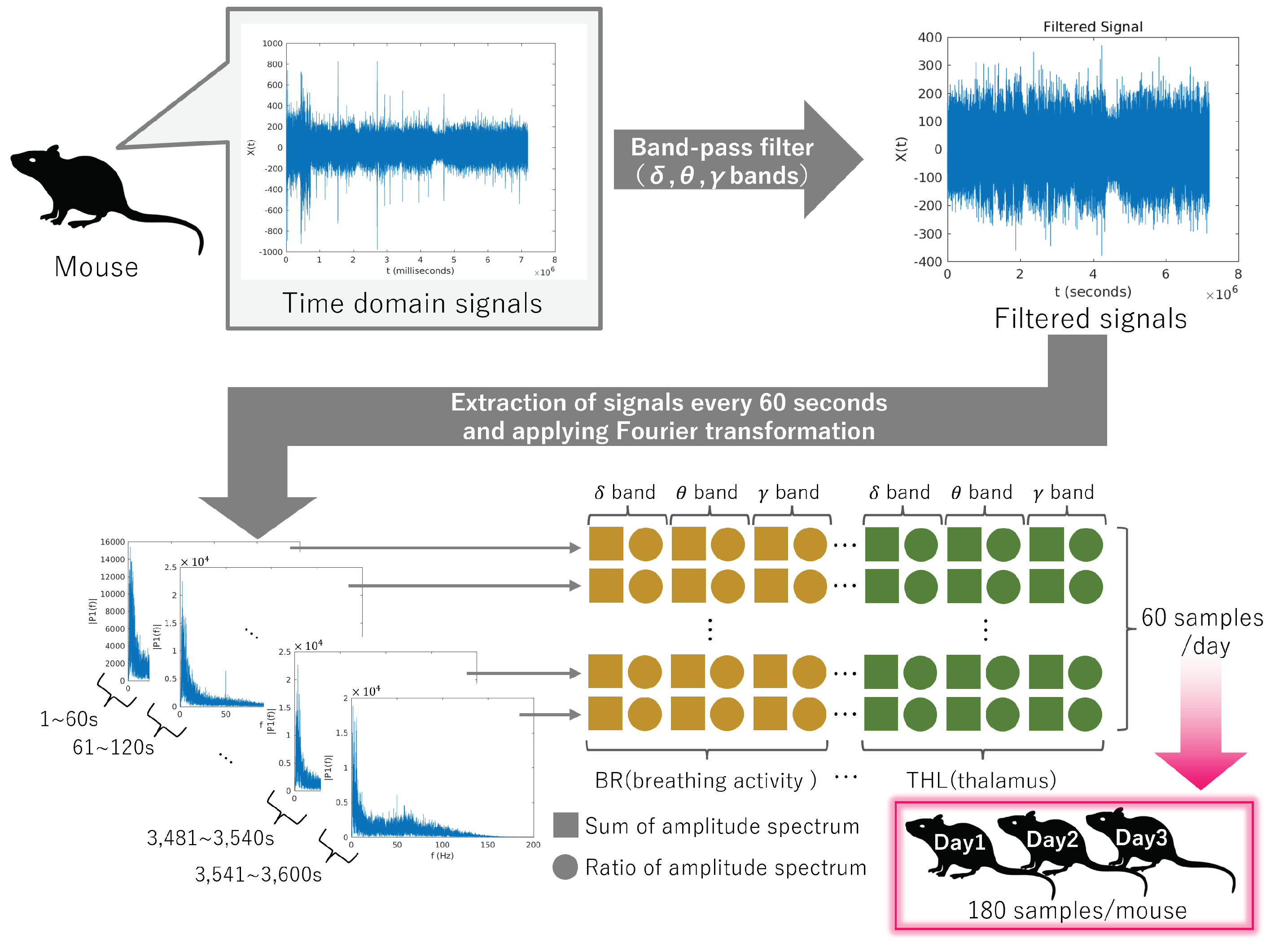 Bioengineering 11 00523 g002