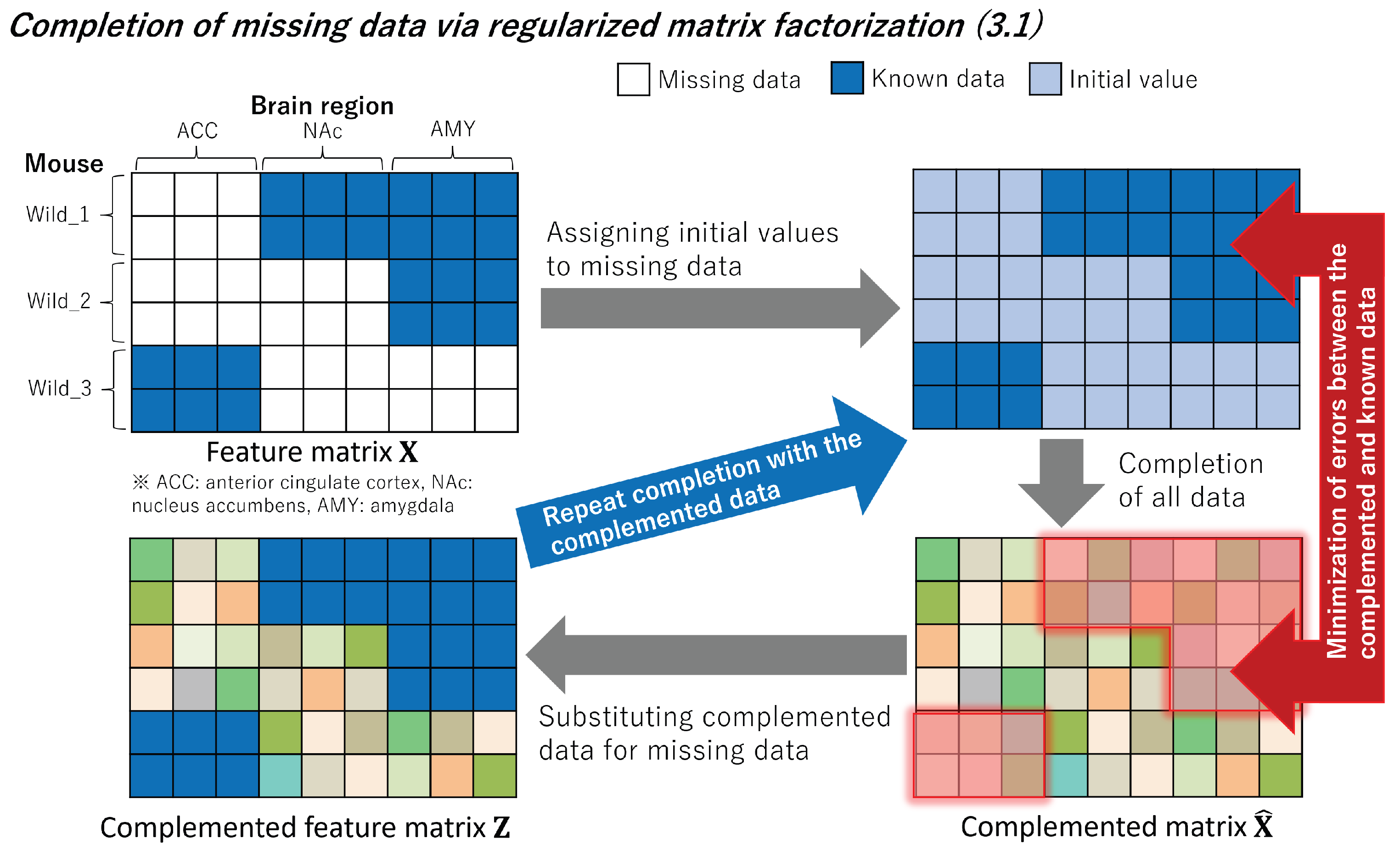 Bioengineering 11 00523 g003