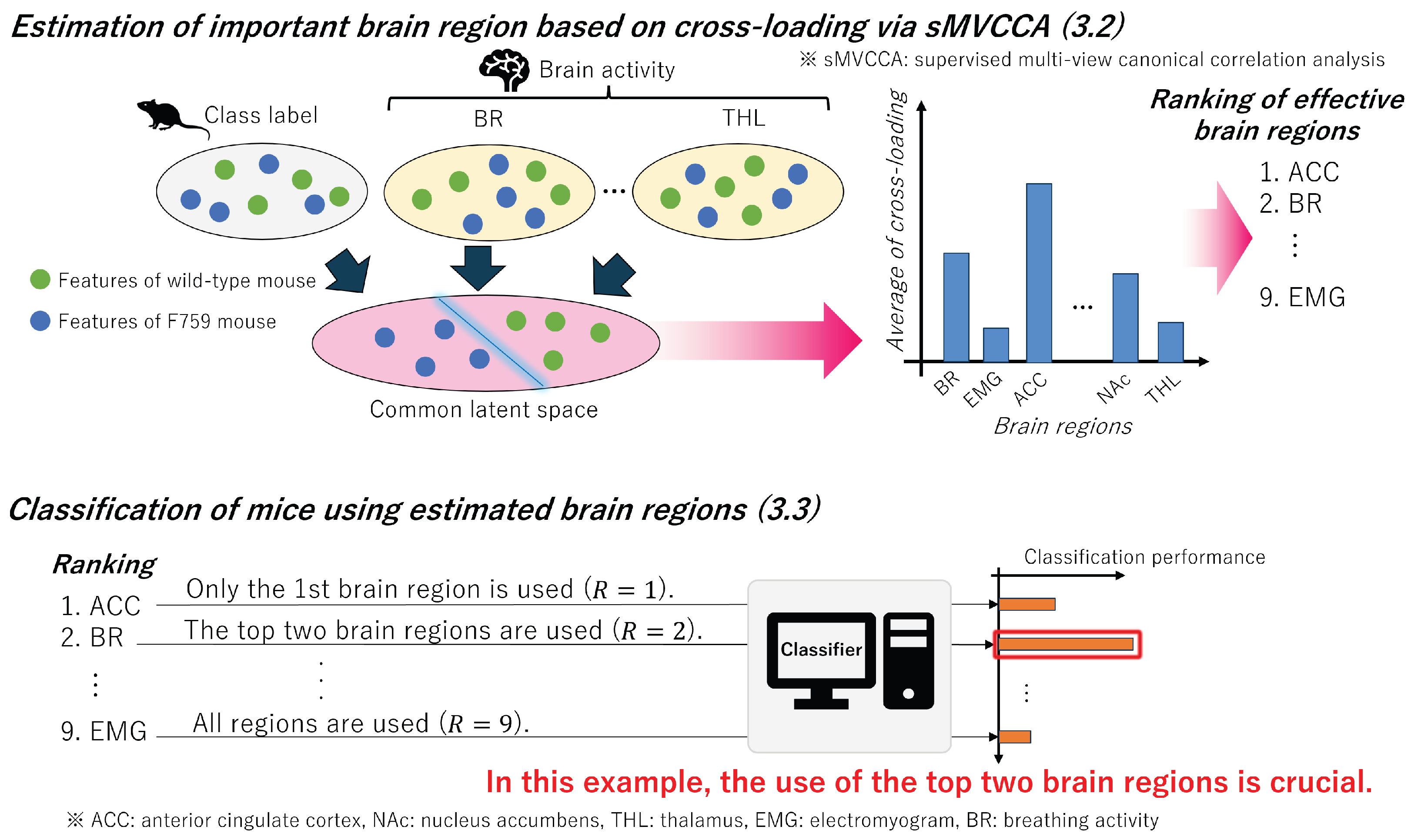 Bioengineering 11 00523 g004