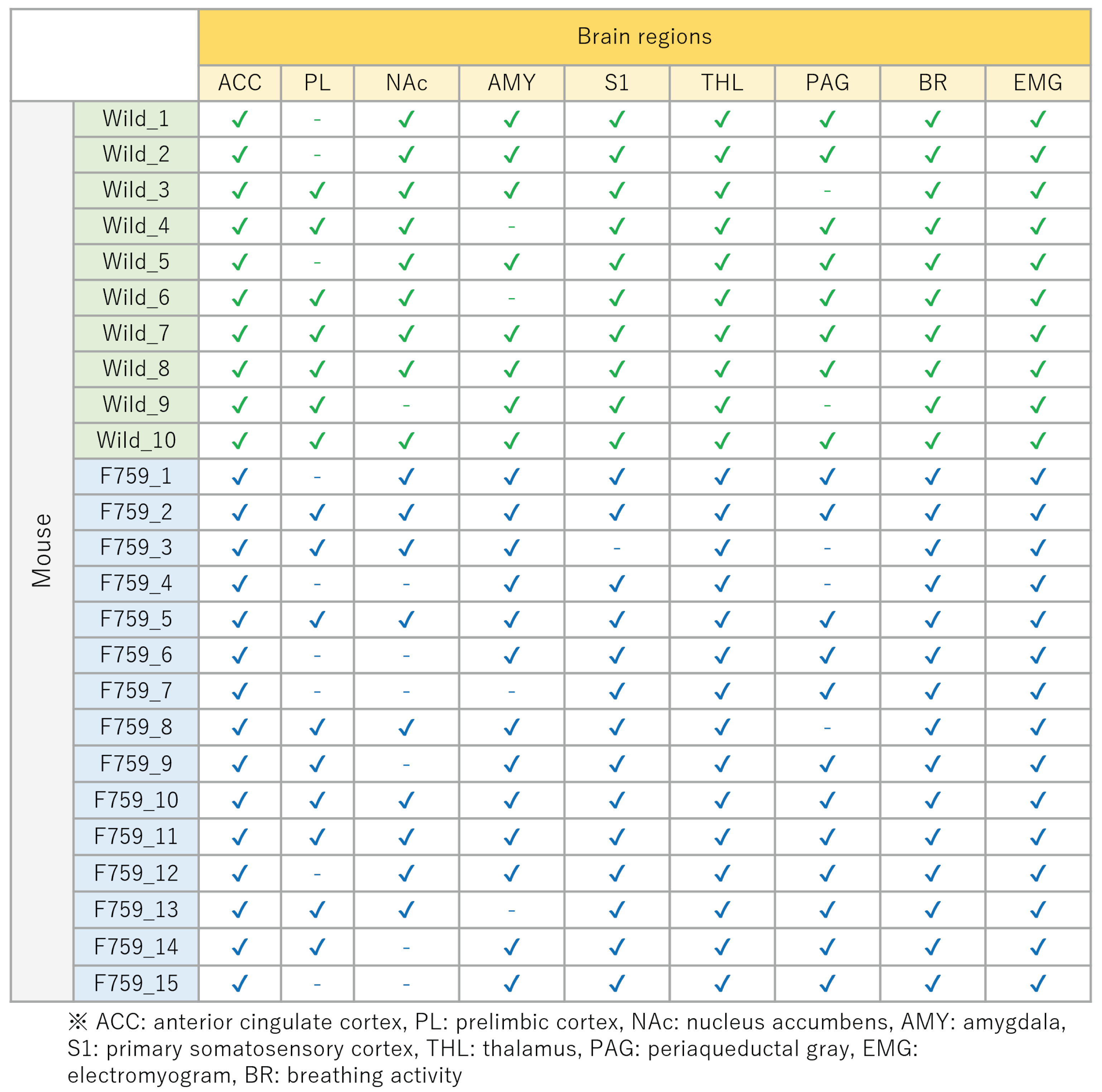 Bioengineering 11 00523 g005