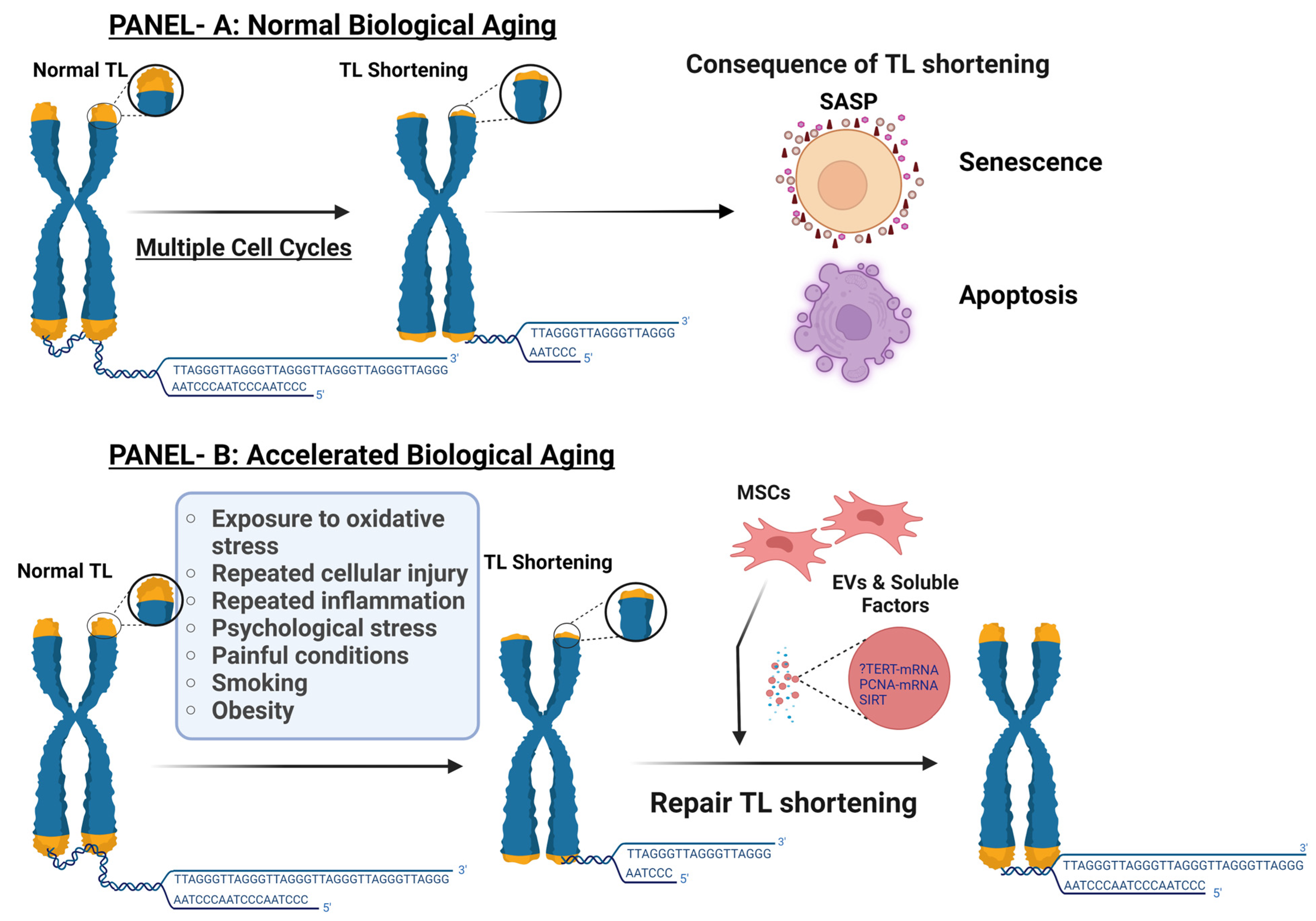 Bioengineering 11 00524 g001