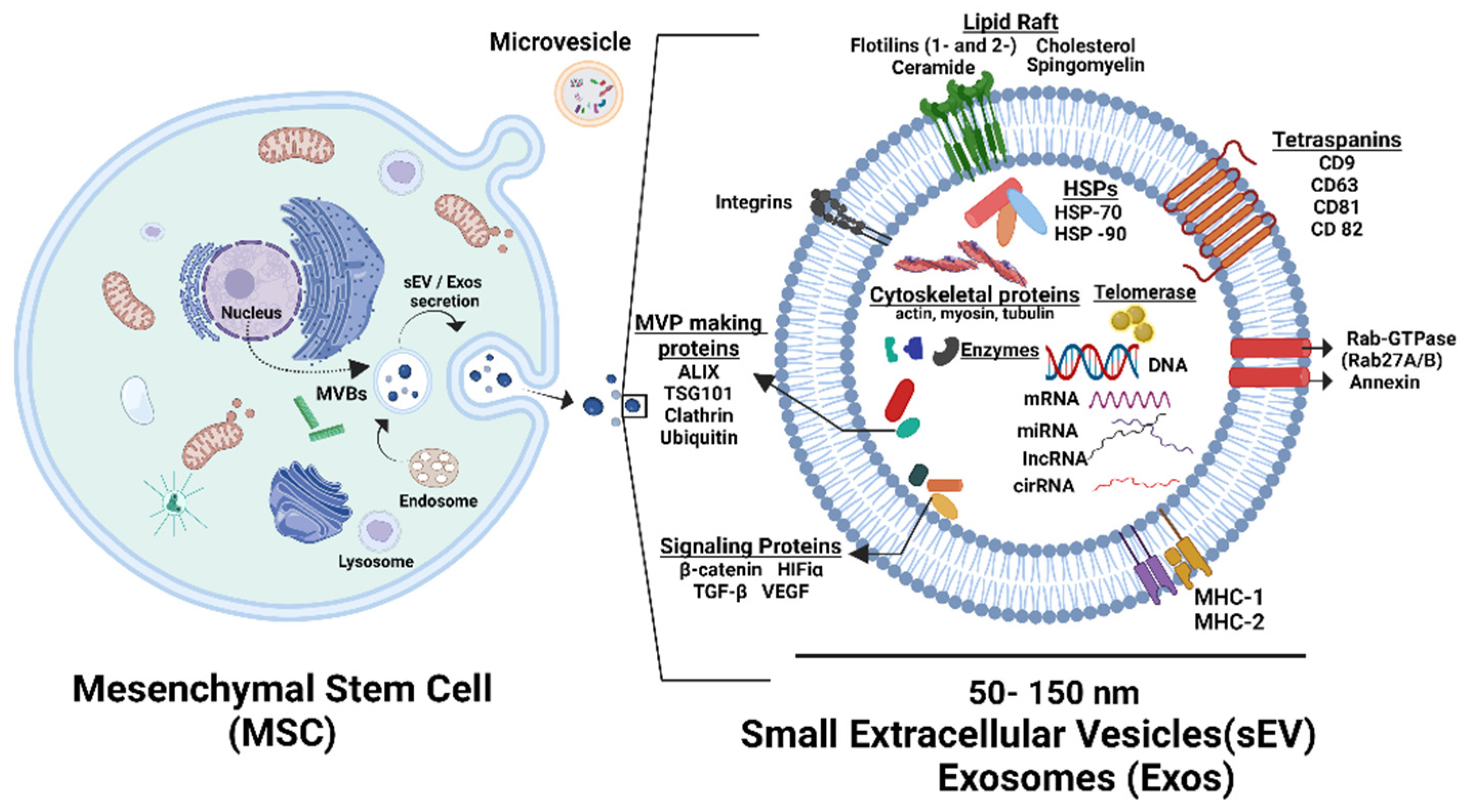 Bioengineering 11 00524 g002