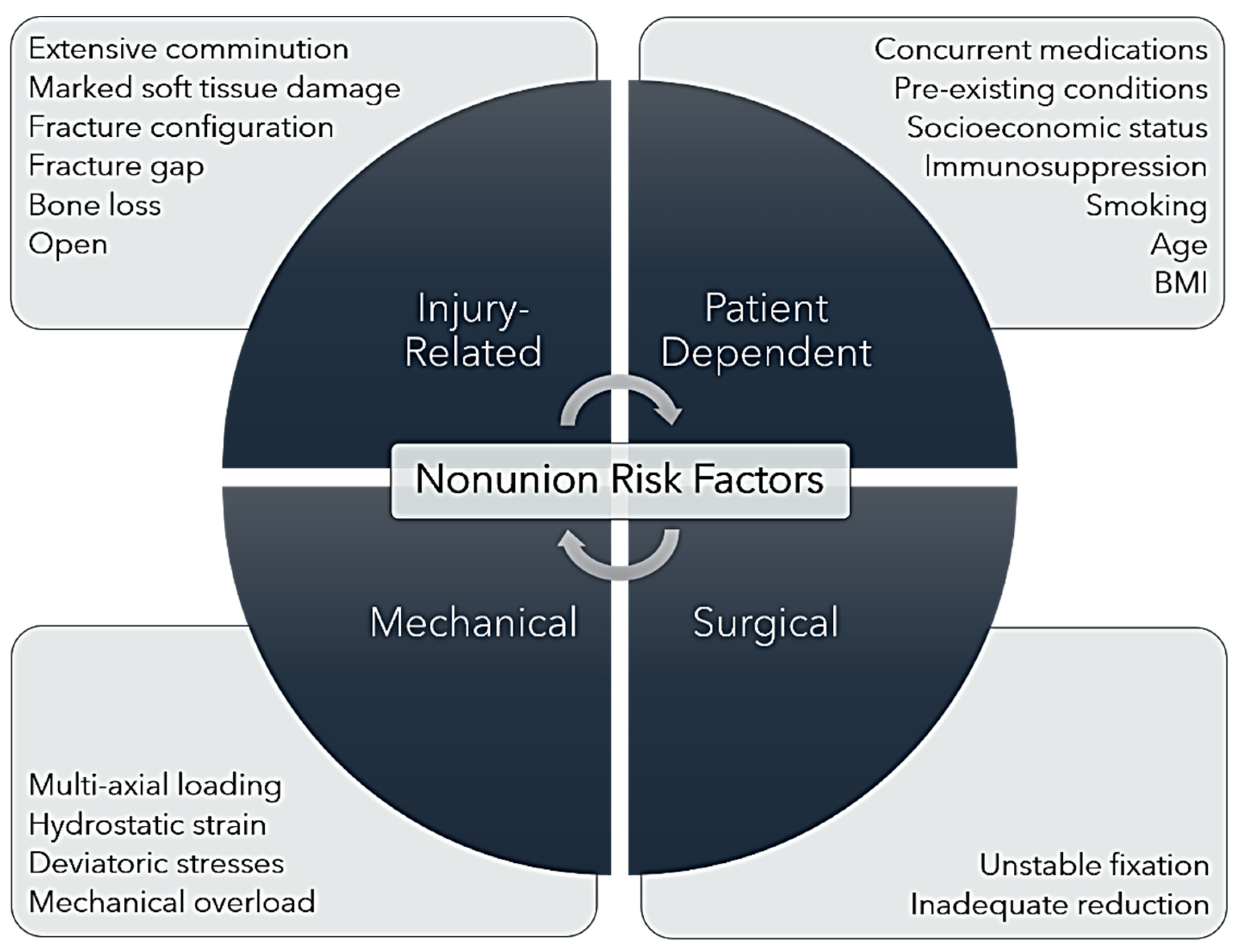 Bioengineering 11 00525 g002