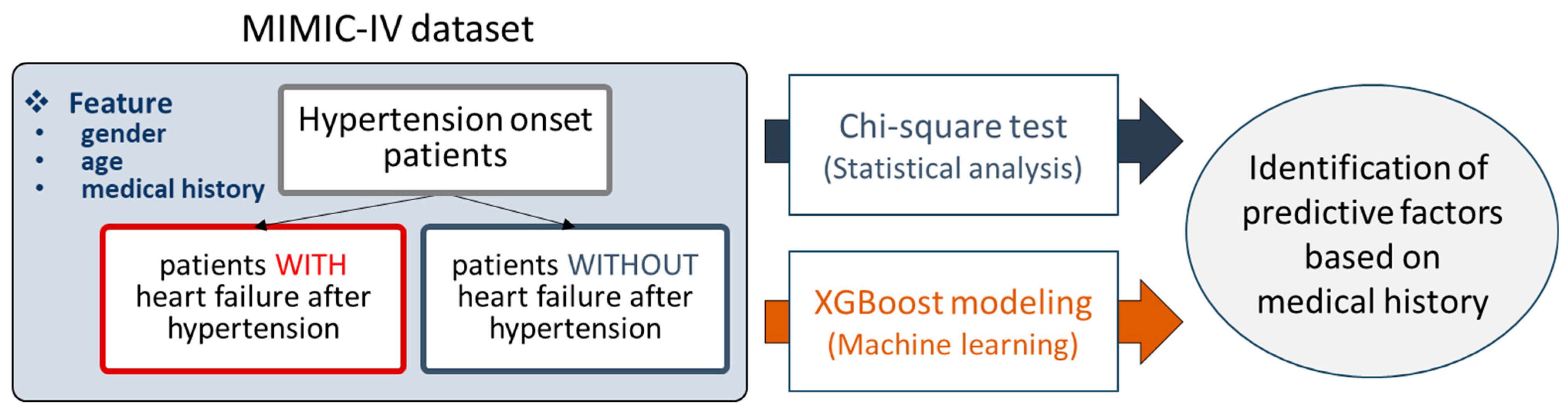 Bioengineering 11 00531 g001