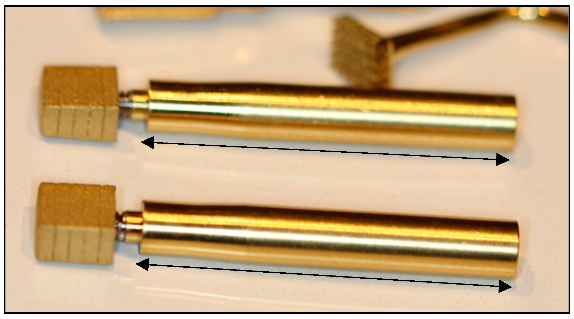 Bioengineering 11 00532 g005