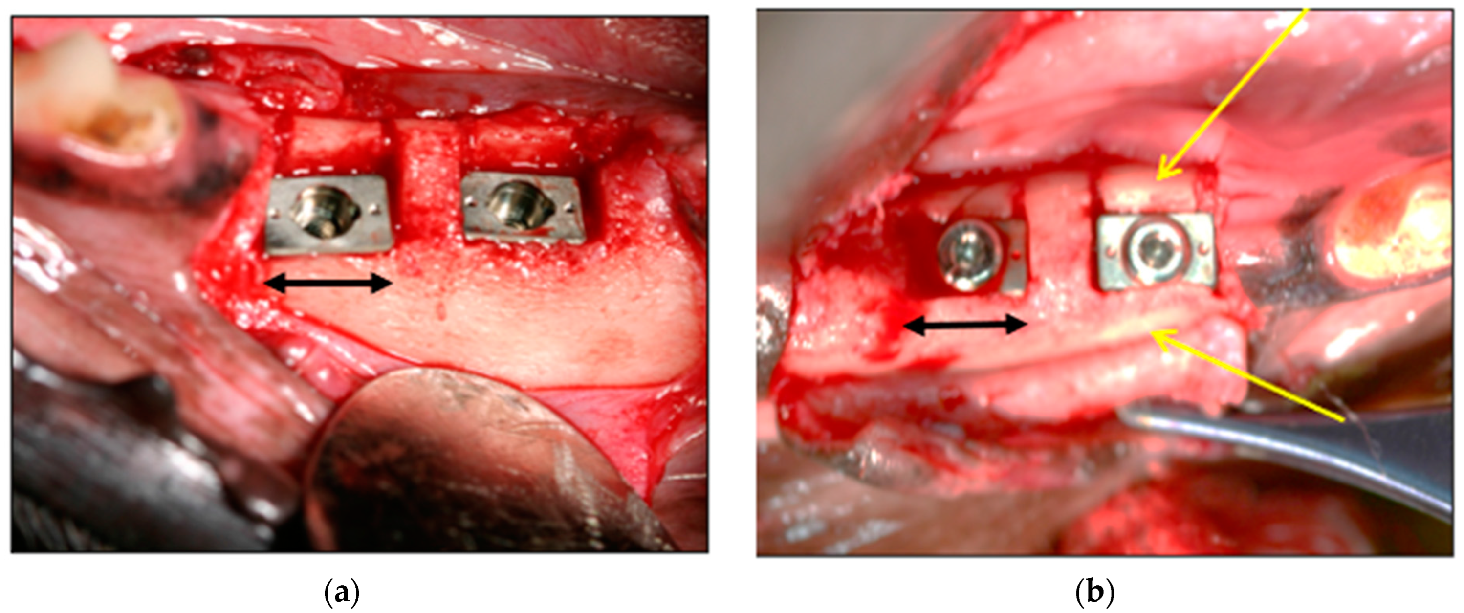 Bioengineering 11 00532 g008