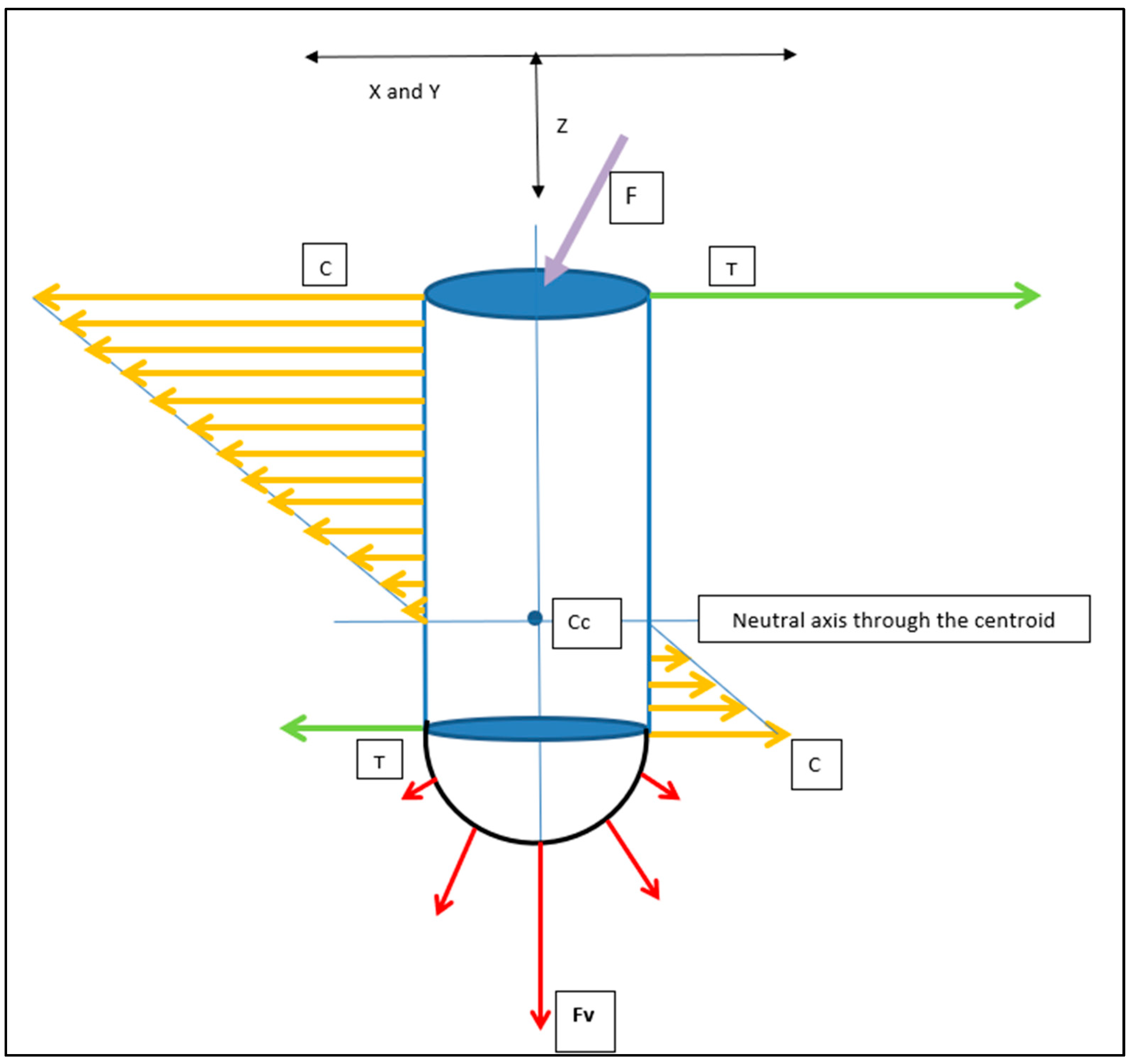 Bioengineering 11 00532 g016