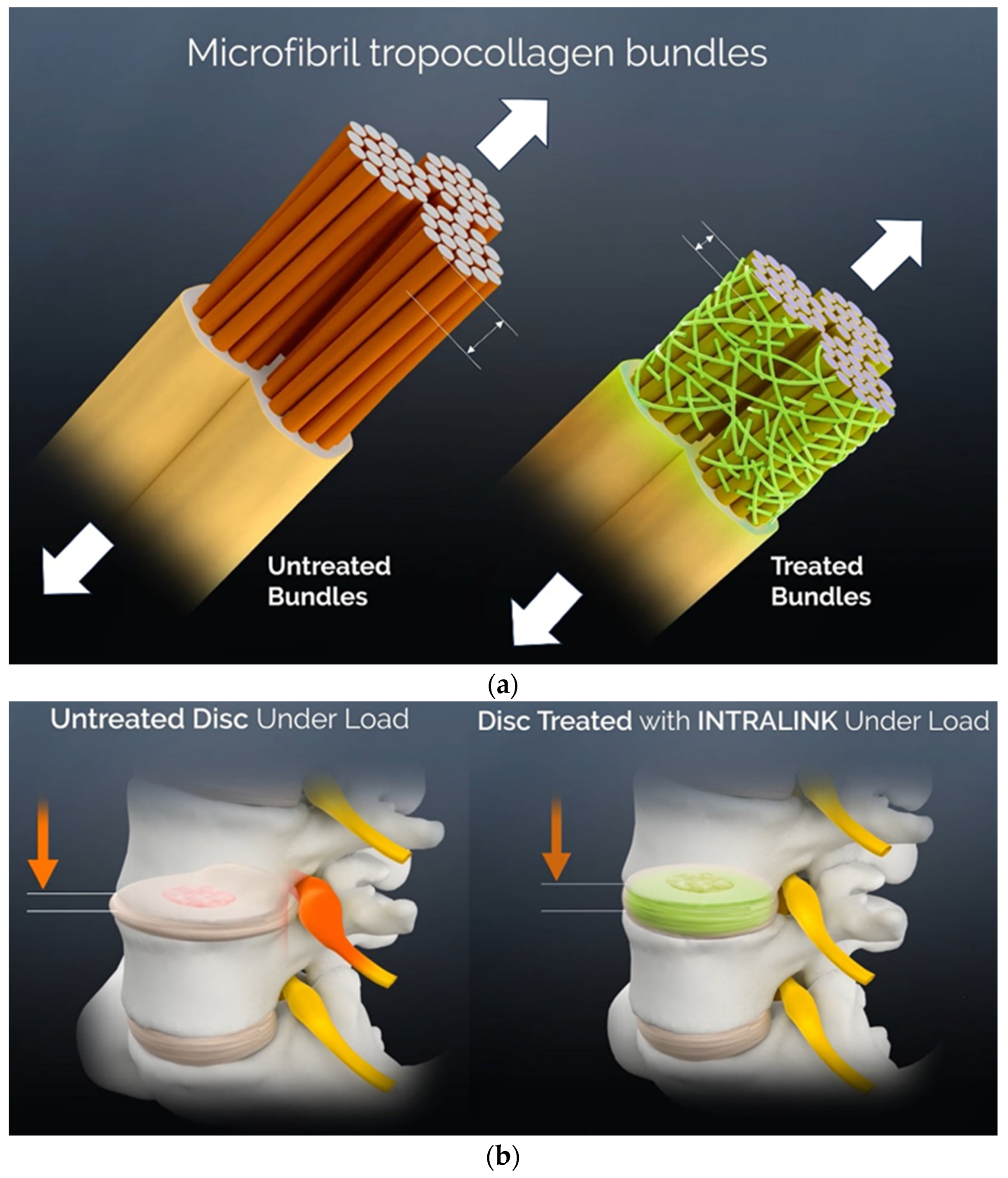 Bioengineering 11 00535 g001 Bioengineering 11 00535 g001