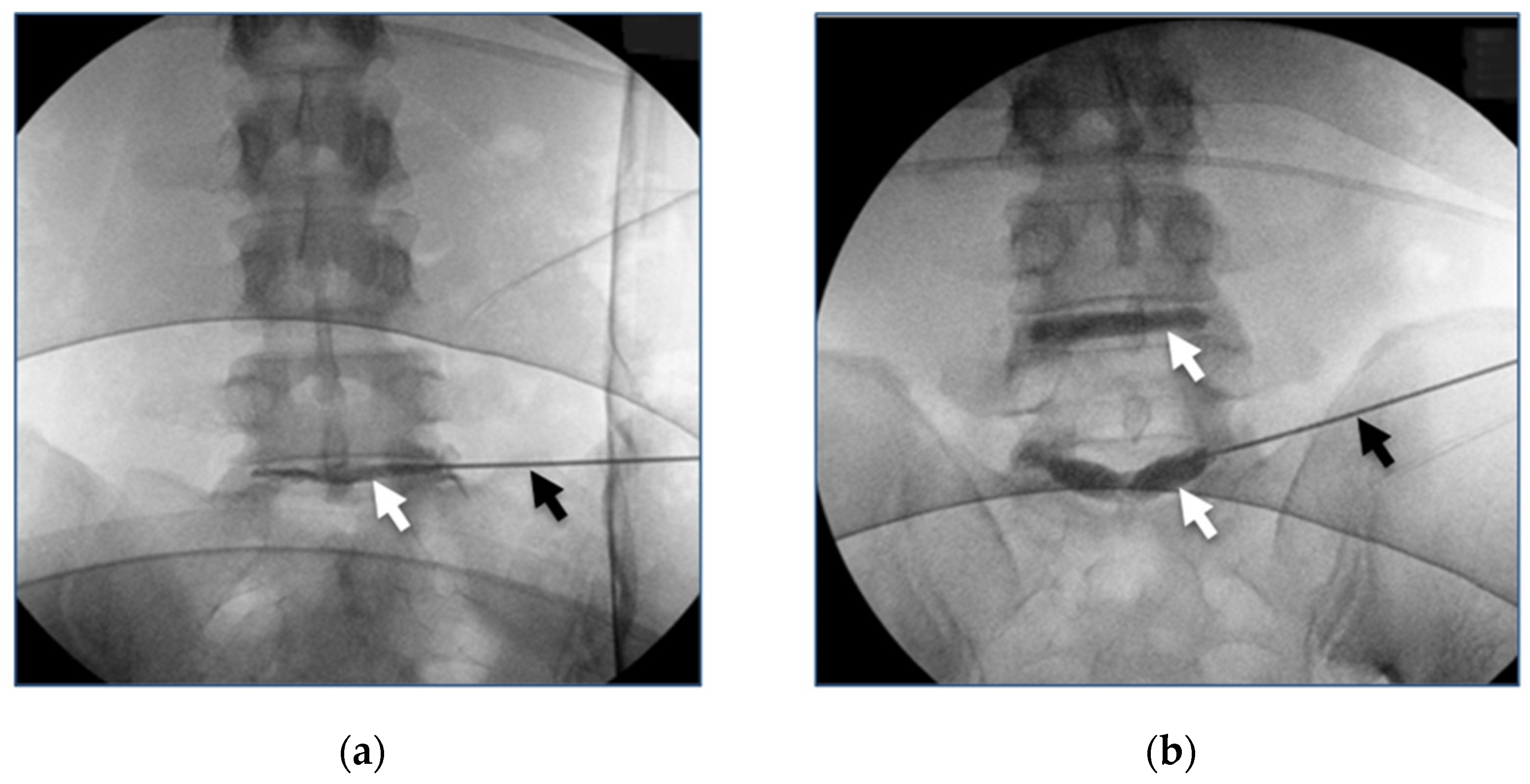 Bioengineering 11 00535 g003 Bioengineering 11 00535 g003