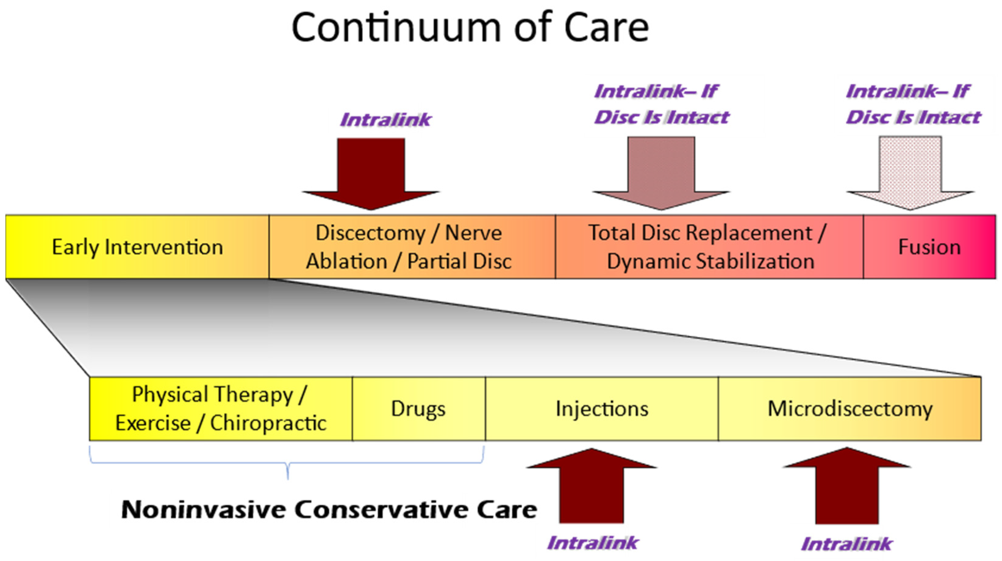 Bioengineering 11 00535 g007 Bioengineering 11 00535 g007